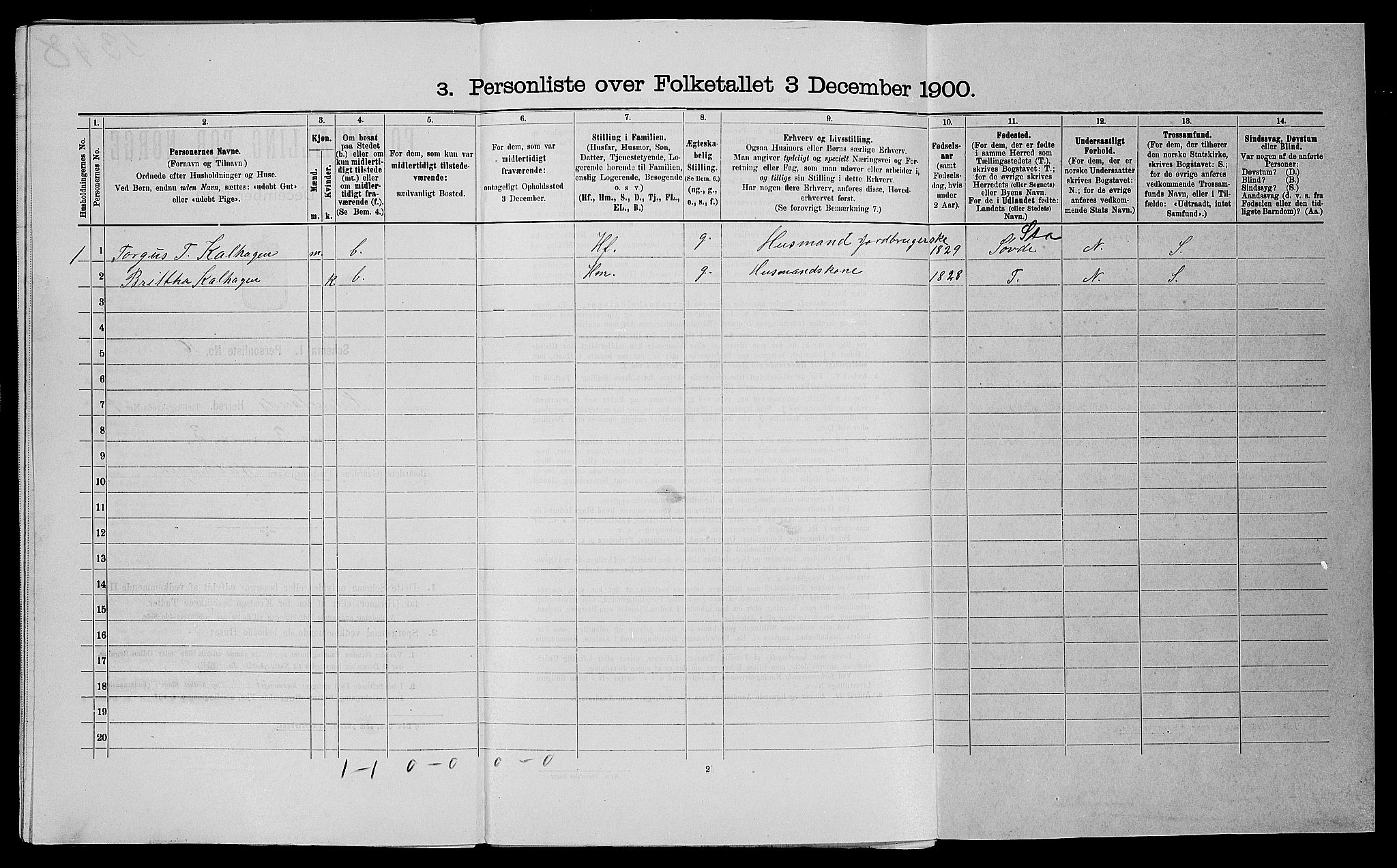 SAST, Folketelling 1900 for 1133 Hjelmeland herred, 1900, s. 115