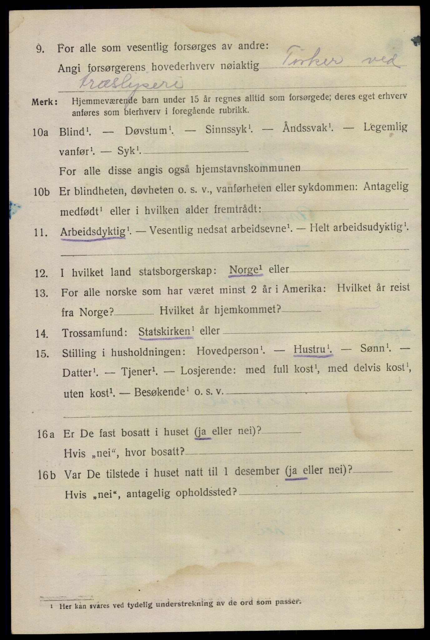 SAKO, Folketelling 1920 for 0806 Skien kjøpstad, 1920, s. 33129