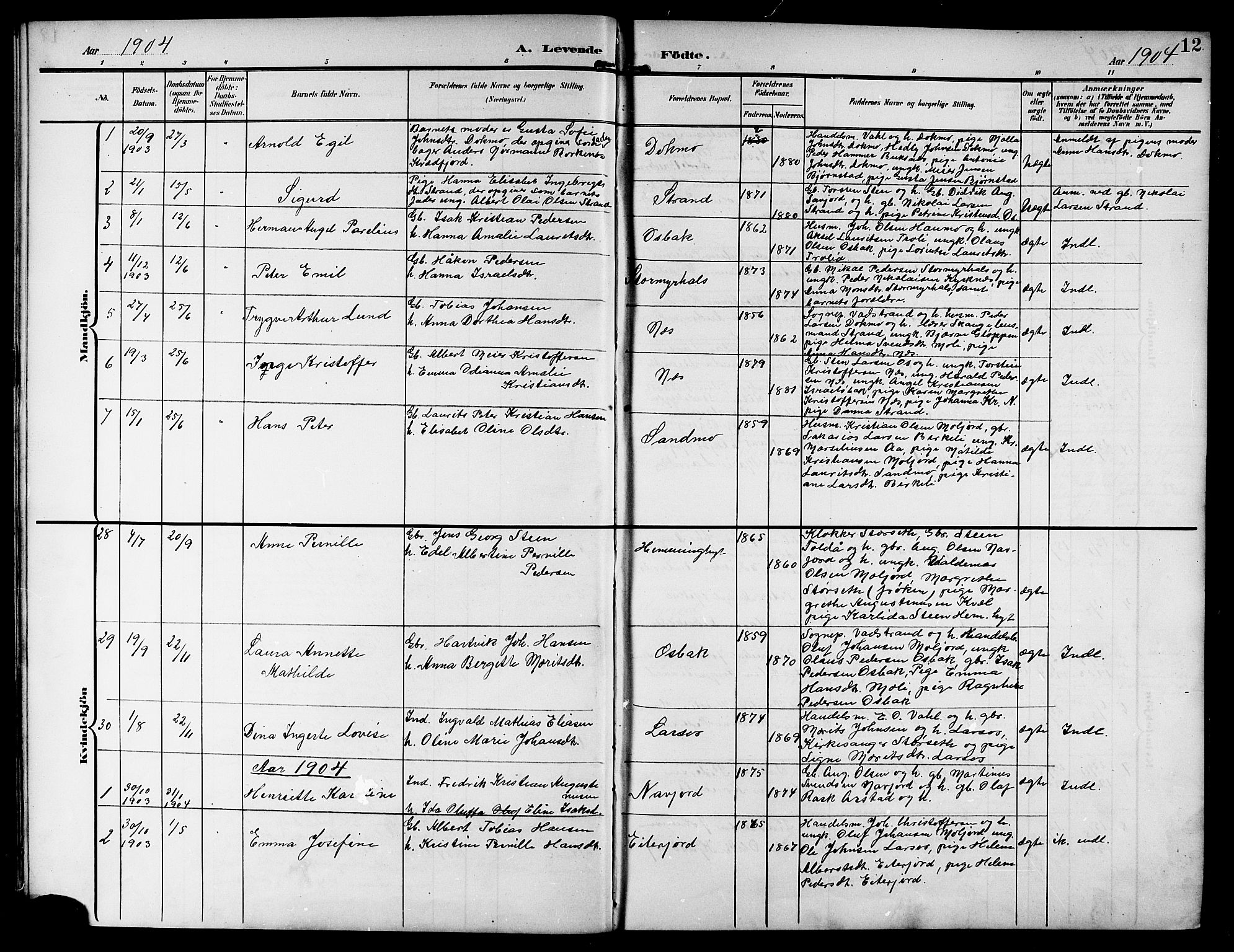 Ministerialprotokoller, klokkerbøker og fødselsregistre - Nordland, AV/SAT-A-1459/846/L0655: Klokkerbok nr. 846C05, 1902-1916, s. 12