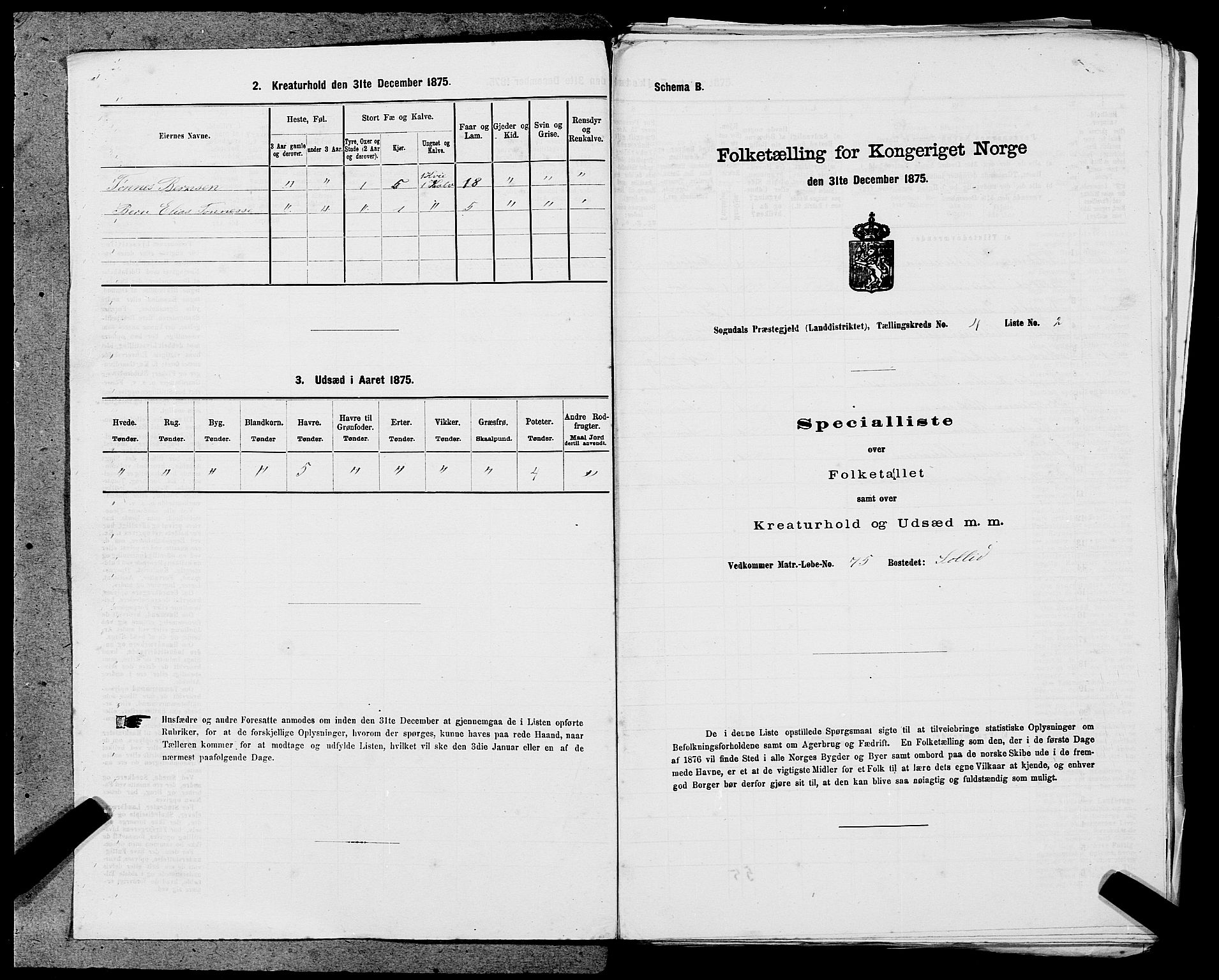 SAST, Folketelling 1875 for 1111L Sokndal prestegjeld, Sokndal landsokn, 1875, s. 265