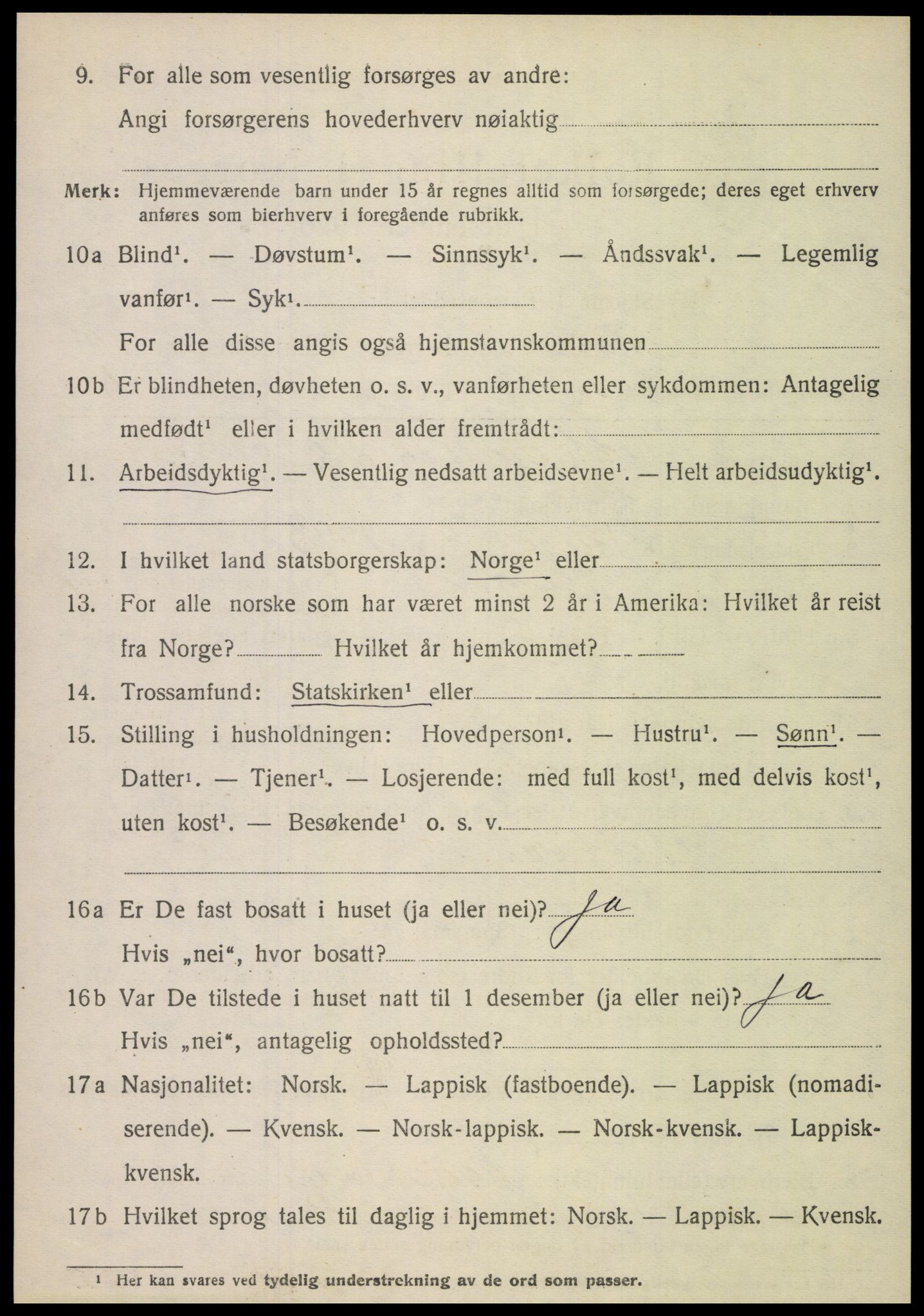 SAT, Folketelling 1920 for 1848 Steigen herred, 1920, s. 4263