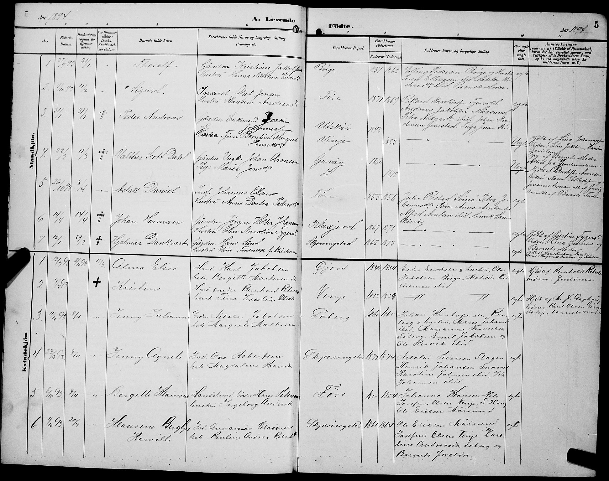 Ministerialprotokoller, klokkerbøker og fødselsregistre - Nordland, SAT/A-1459/891/L1316: Klokkerbok nr. 891C05, 1894-1898, s. 5