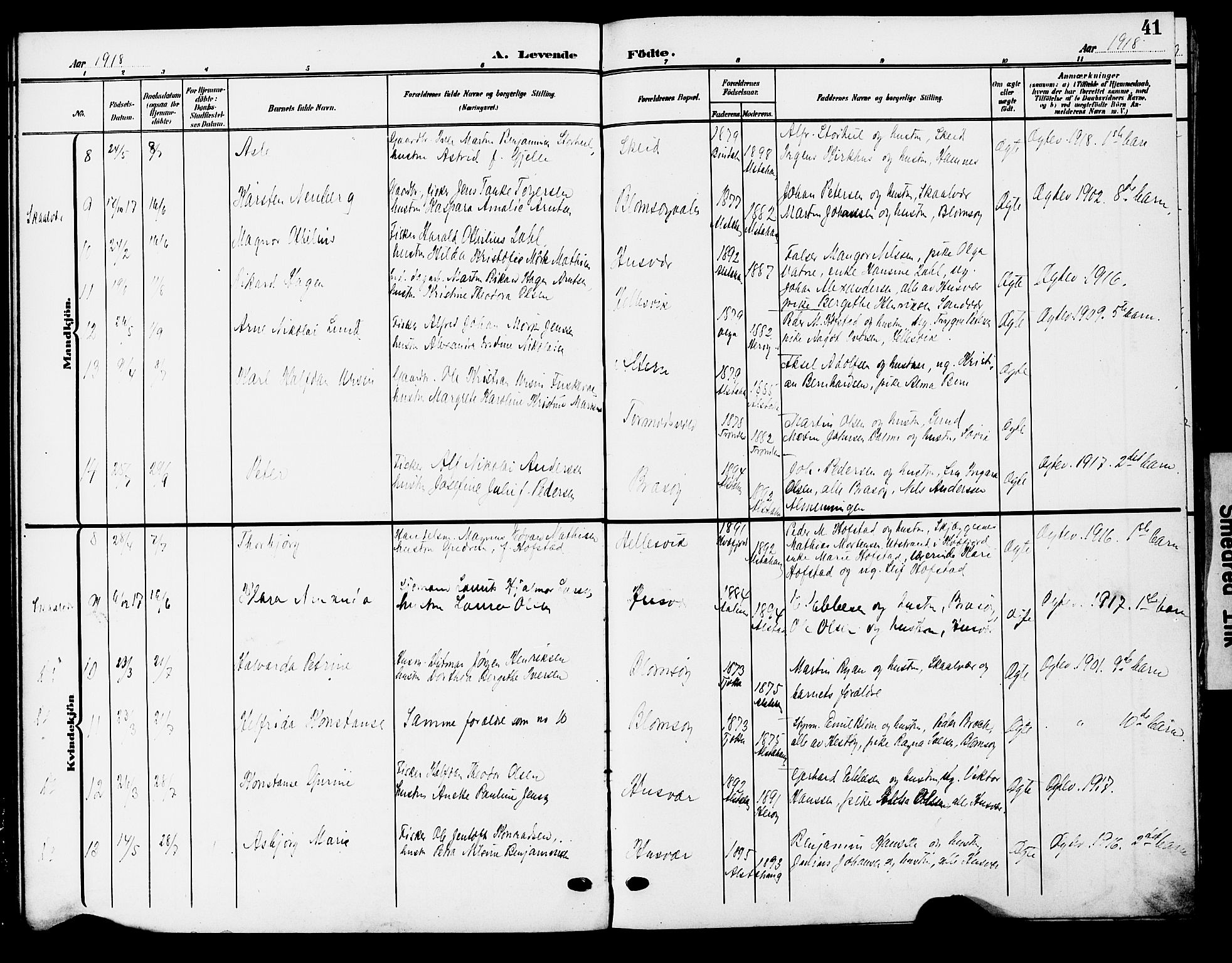 Ministerialprotokoller, klokkerbøker og fødselsregistre - Nordland, AV/SAT-A-1459/830/L0464: Klokkerbok nr. 830C06, 1906-1925, s. 41