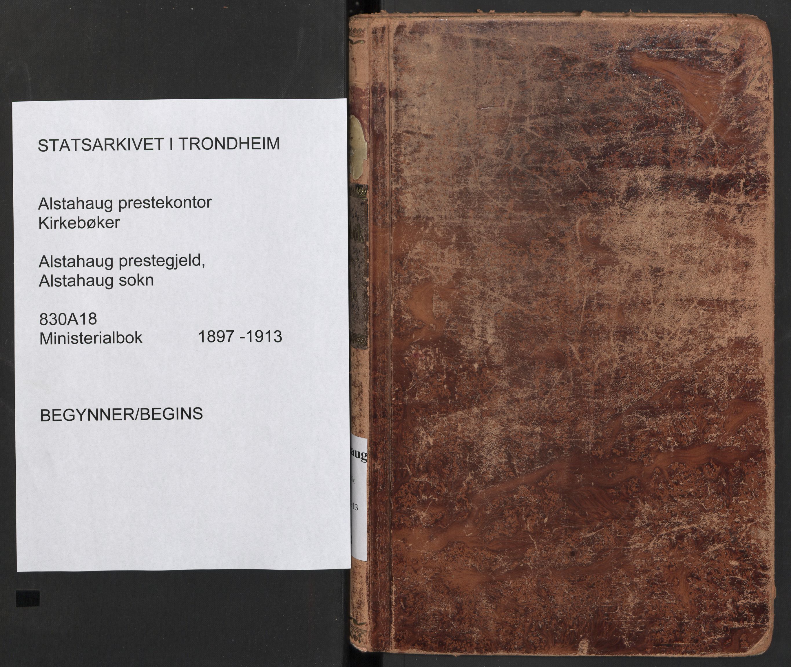 Ministerialprotokoller, klokkerbøker og fødselsregistre - Nordland, AV/SAT-A-1459/830/L0455: Ministerialbok nr. 830A19, 1912-1942