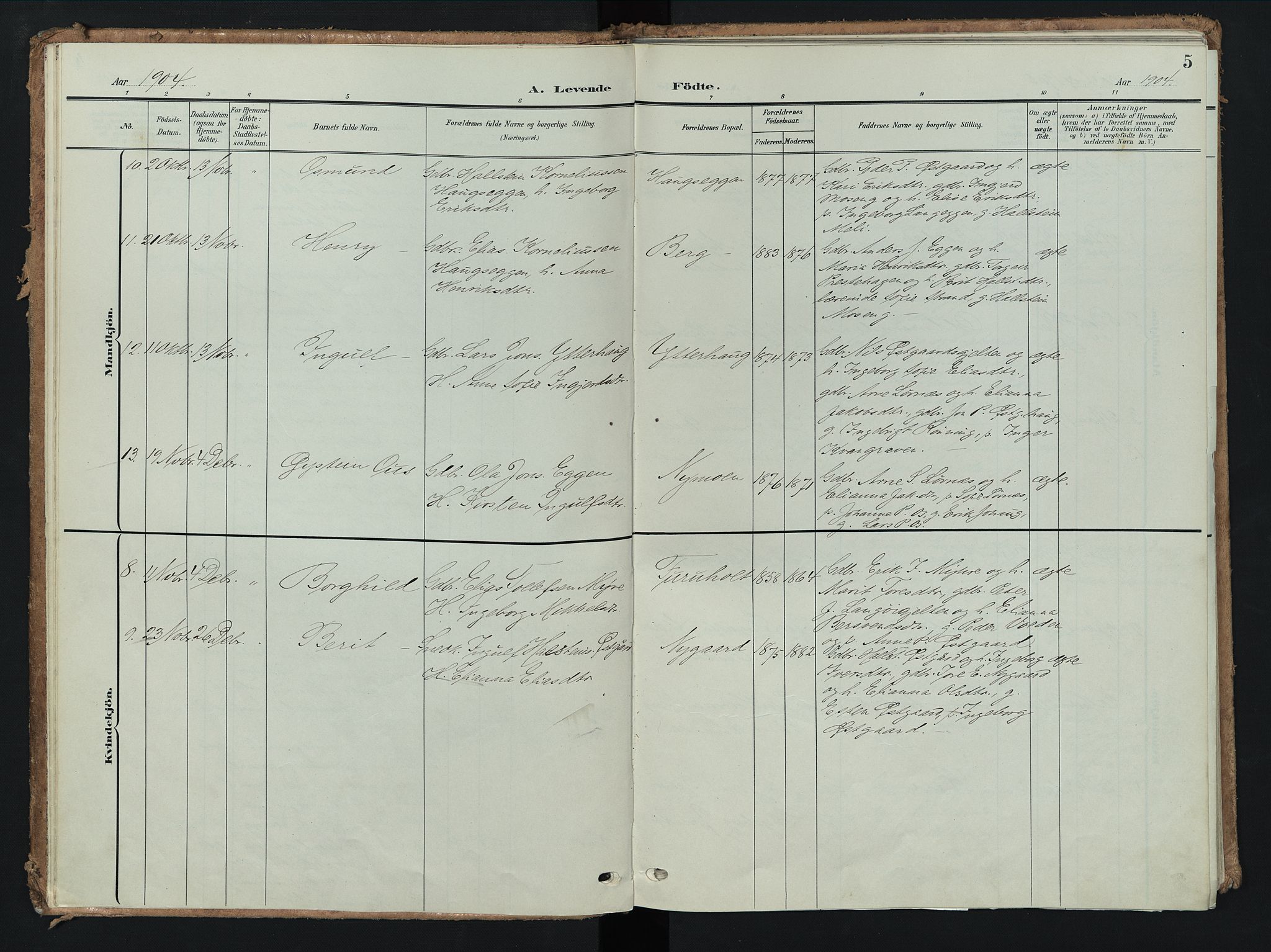 Tolga prestekontor, AV/SAH-PREST-062/K/L0009: Ministerialbok nr. 9, 1903-1928, s. 5
