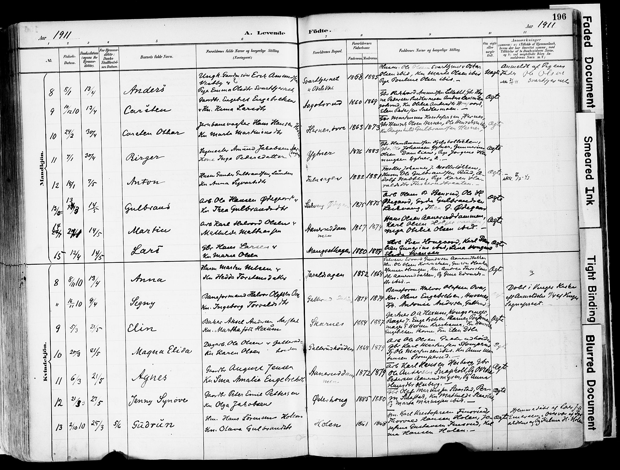 Sør-Odal prestekontor, AV/SAH-PREST-030/H/Ha/Haa/L0006: Ministerialbok nr. 6, 1886-1931, s. 196