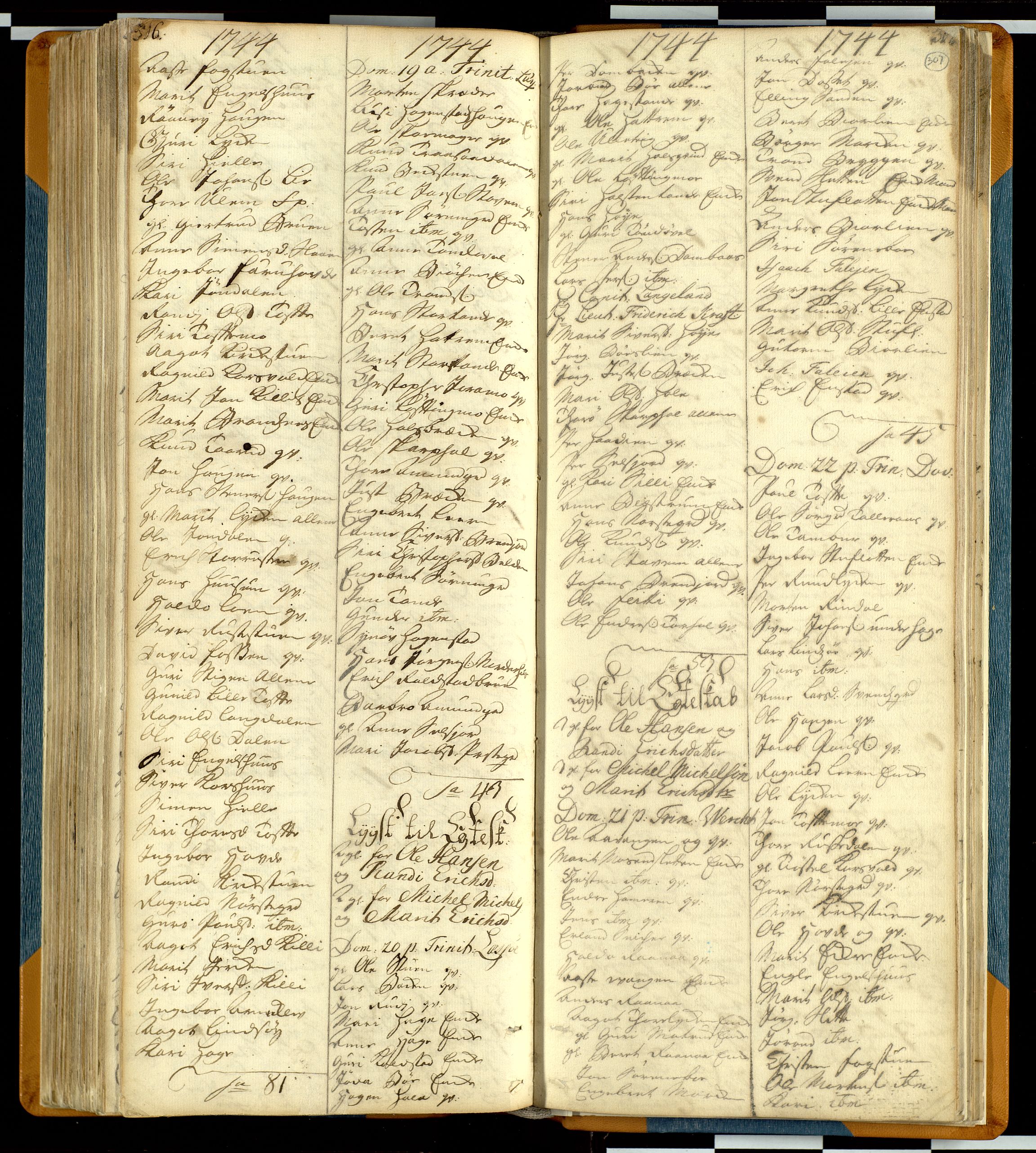 Lesja prestekontor, AV/SAH-PREST-068/H/Hb/L0001: Kommunikantprotokoll nr. 1, 1732-1748, s. 306-307