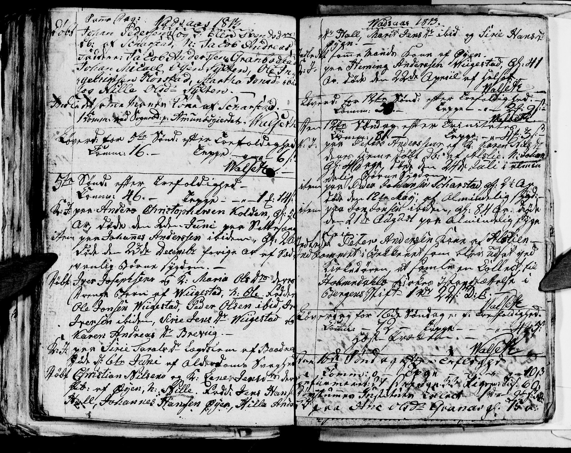 Ministerialprotokoller, klokkerbøker og fødselsregistre - Nordland, AV/SAT-A-1459/810/L0139: Ministerialbok nr. 810A03, 1785-1816