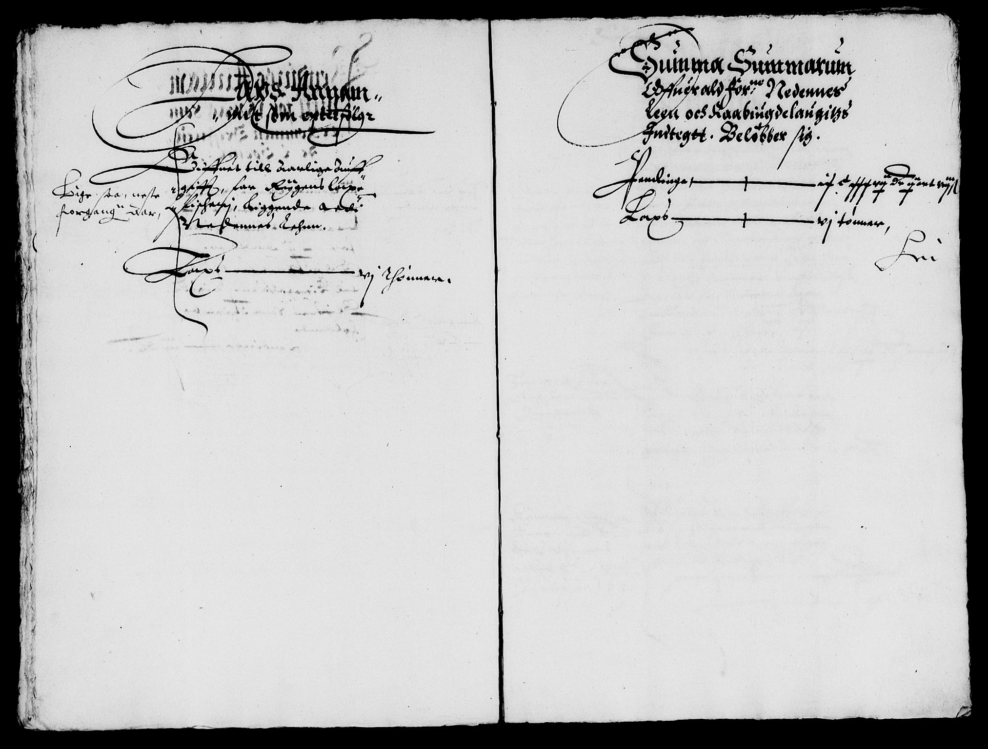 Rentekammeret inntil 1814, Reviderte regnskaper, Lensregnskaper, AV/RA-EA-5023/R/Rb/Rbq/L0020: Nedenes len. Mandals len. Råbyggelag., 1630-1631