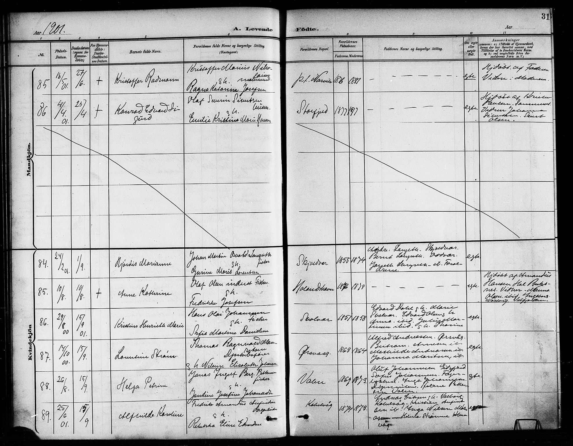 Ministerialprotokoller, klokkerbøker og fødselsregistre - Nordland, AV/SAT-A-1459/874/L1078: Klokkerbok nr. 874C07, 1900-1907, s. 31