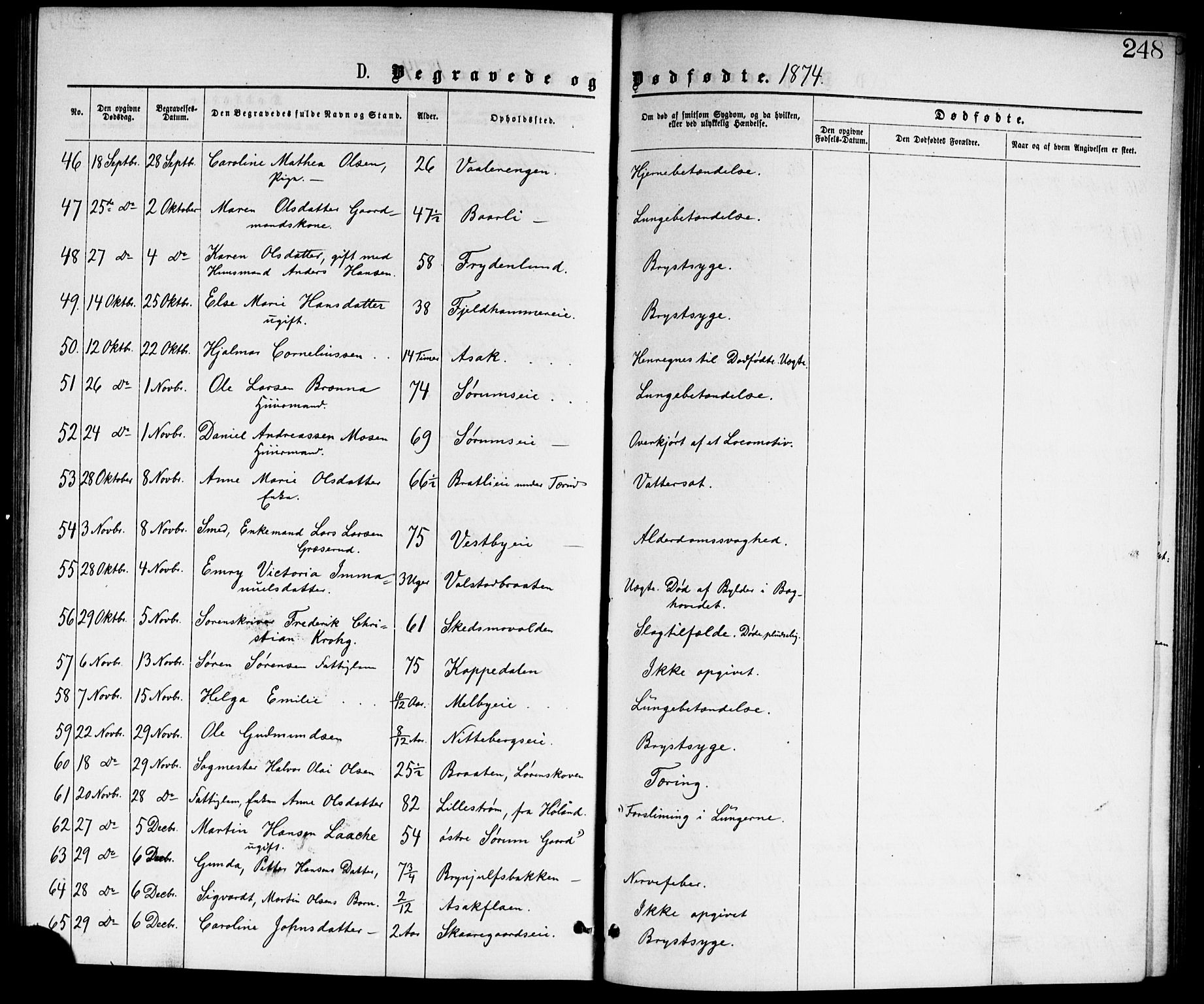 Skedsmo prestekontor Kirkebøker, AV/SAO-A-10033a/G/Ga/L0003: Klokkerbok nr. I 3, 1873-1882, s. 248