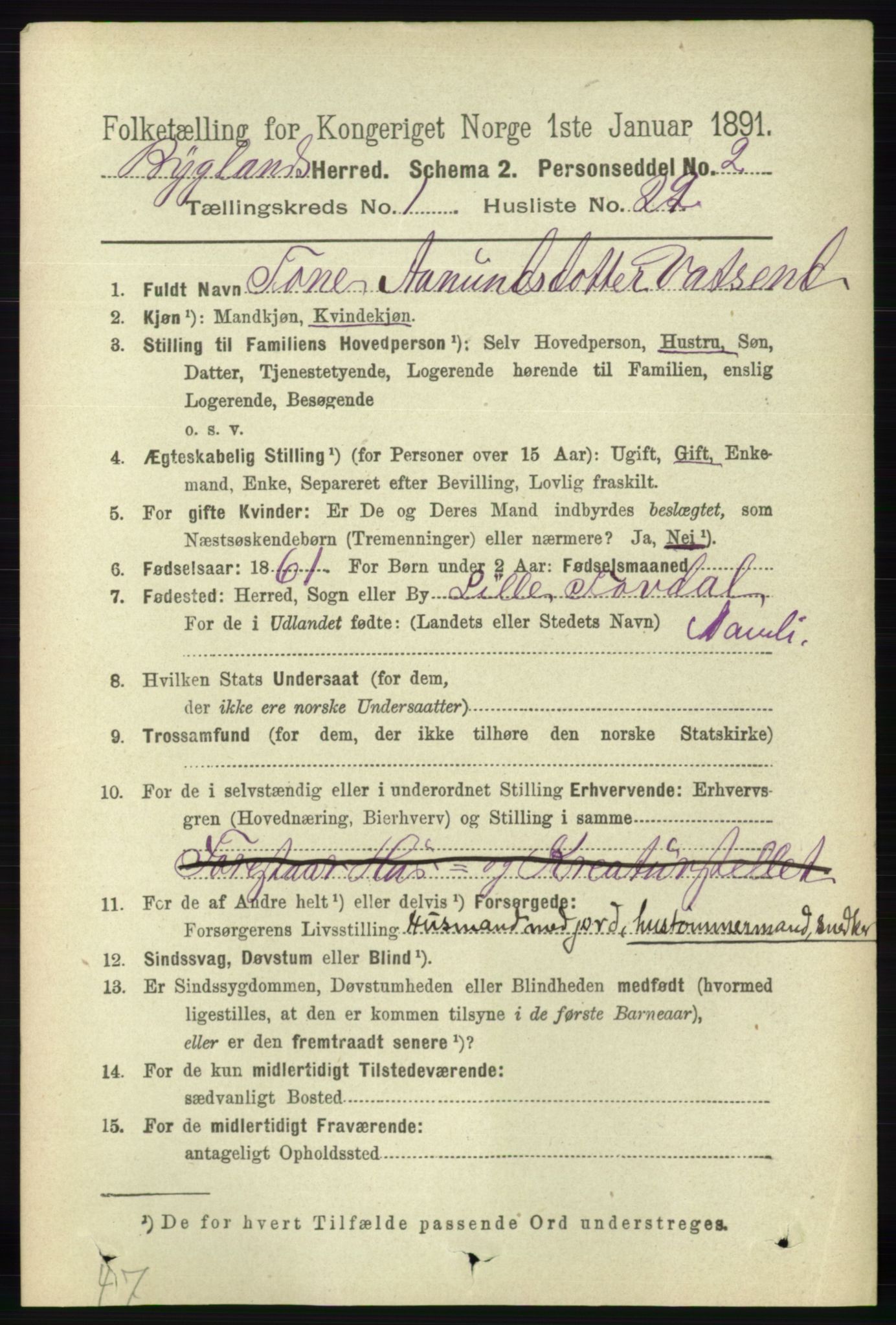 RA, Folketelling 1891 for 0938 Bygland herred, 1891, s. 206