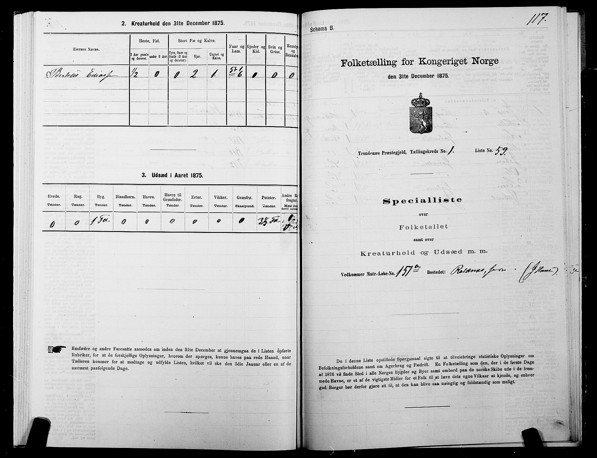 SATØ, Folketelling 1875 for 1914P Trondenes prestegjeld, 1875, s. 1117