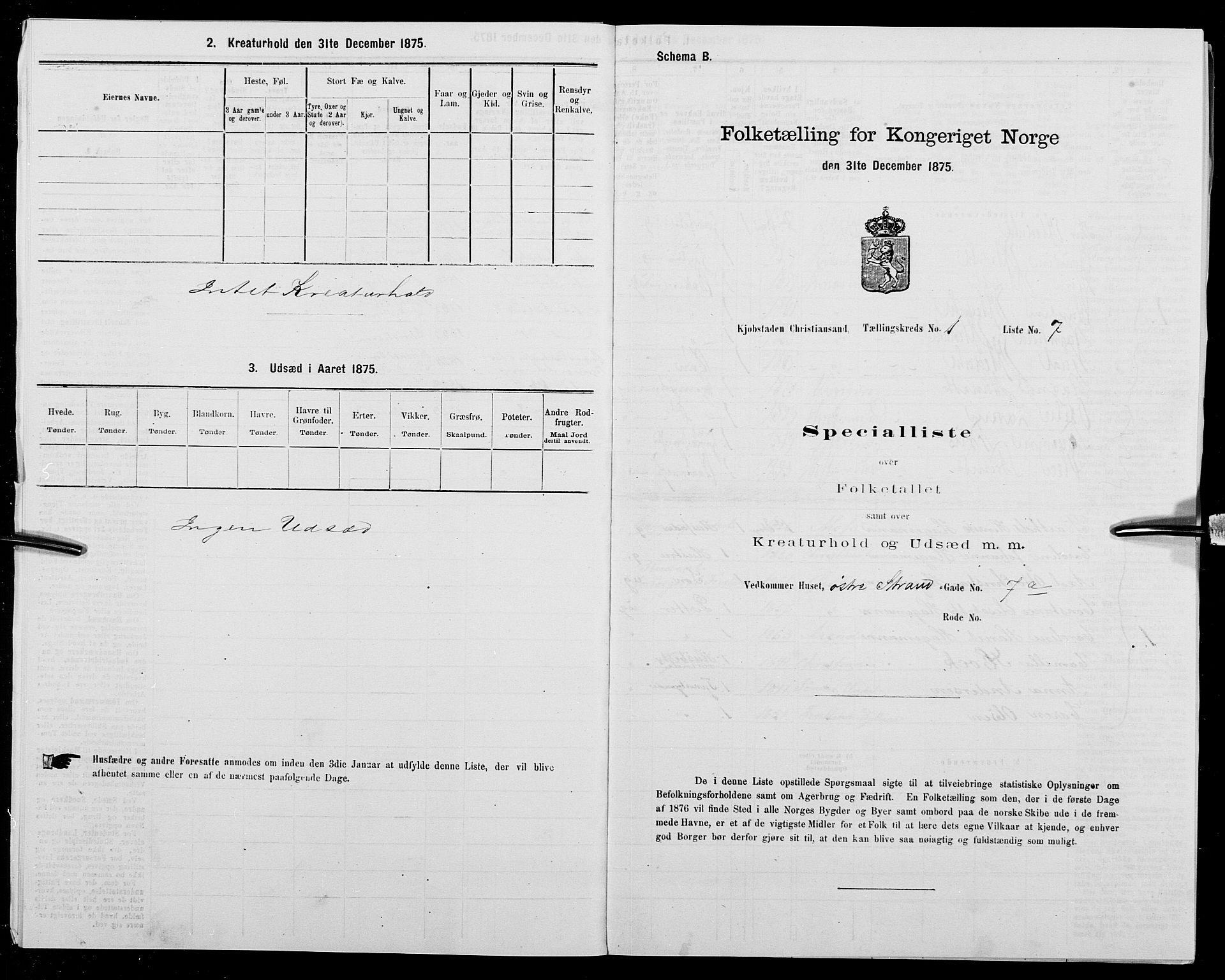 SAK, Folketelling 1875 for 1001P Kristiansand prestegjeld, 1875, s. 30