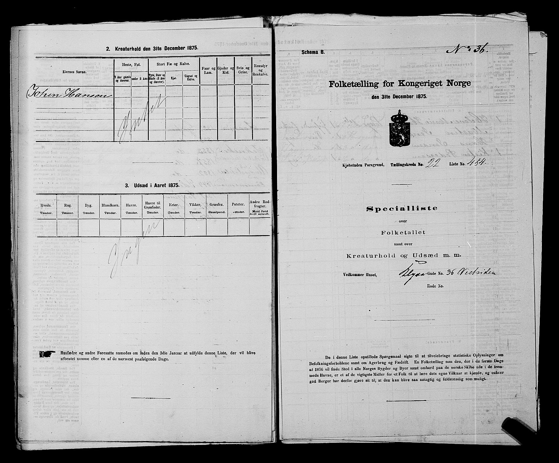 SAKO, Folketelling 1875 for 0805P Porsgrunn prestegjeld, 1875, s. 1017