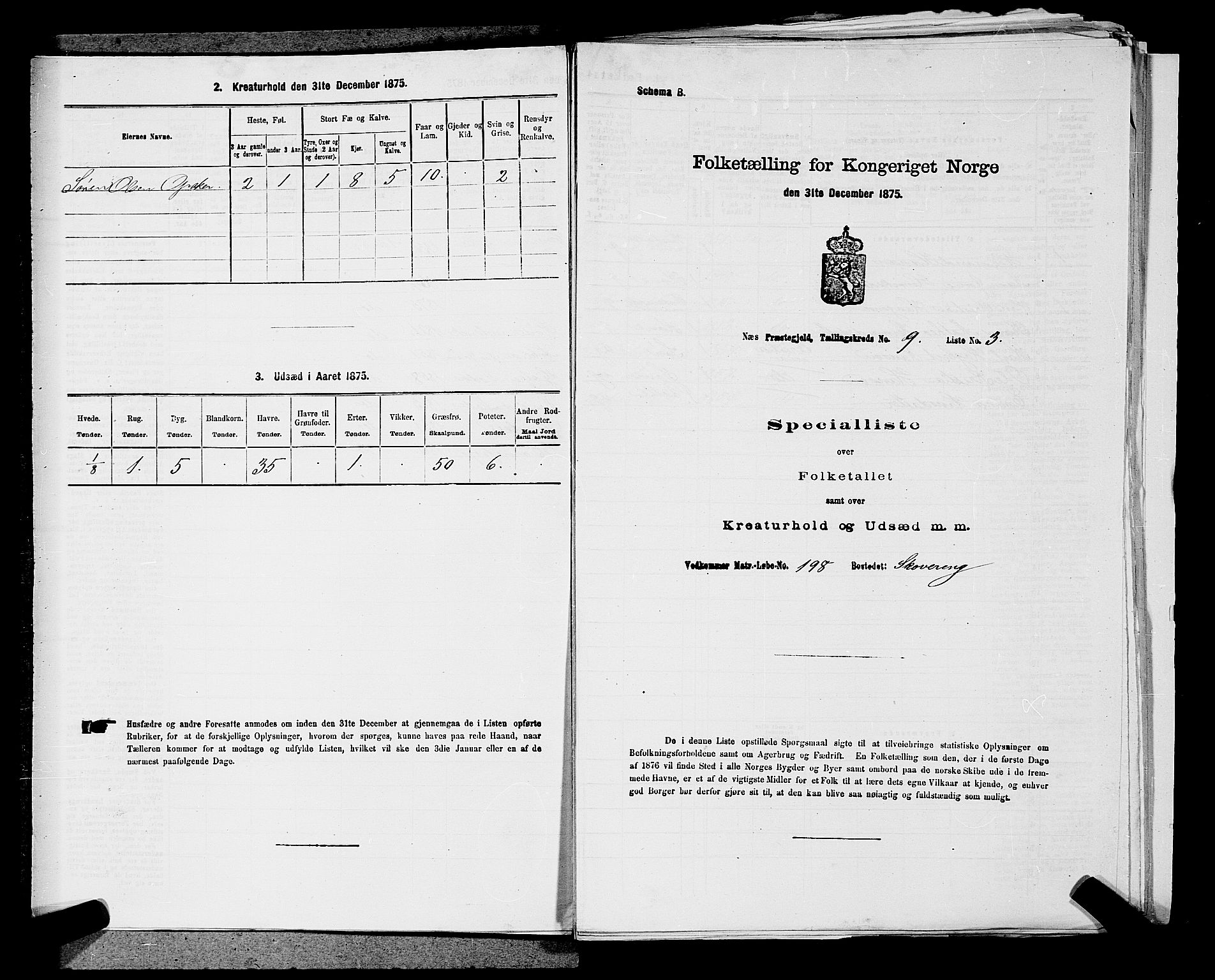 RA, Folketelling 1875 for 0236P Nes prestegjeld, 1875, s. 1503