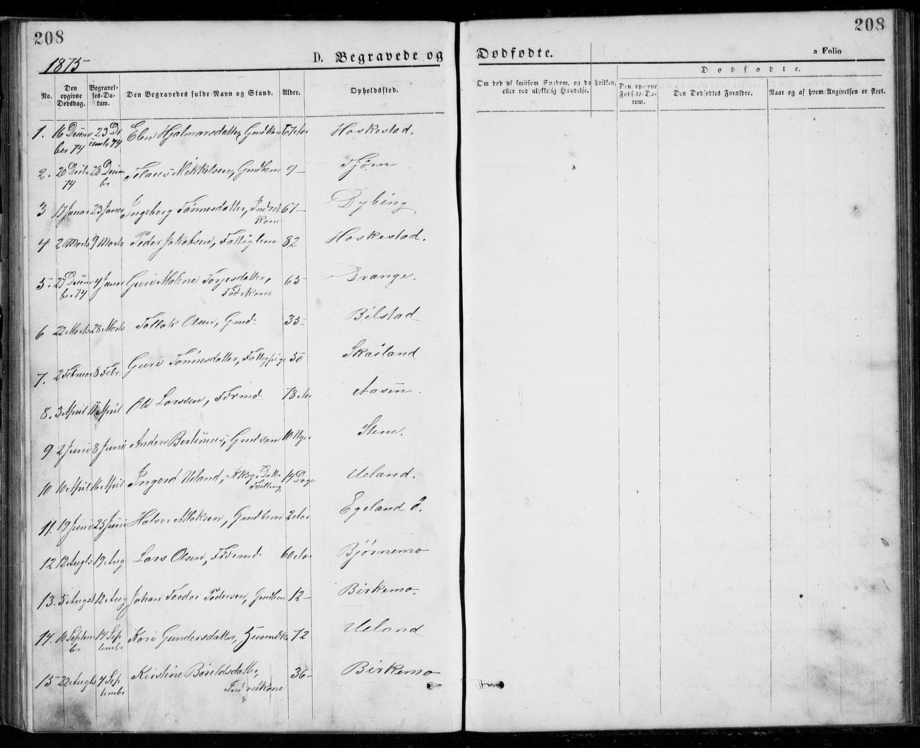 Lund sokneprestkontor, AV/SAST-A-101809/S07/L0005: Klokkerbok nr. B 5, 1875-1889, s. 208