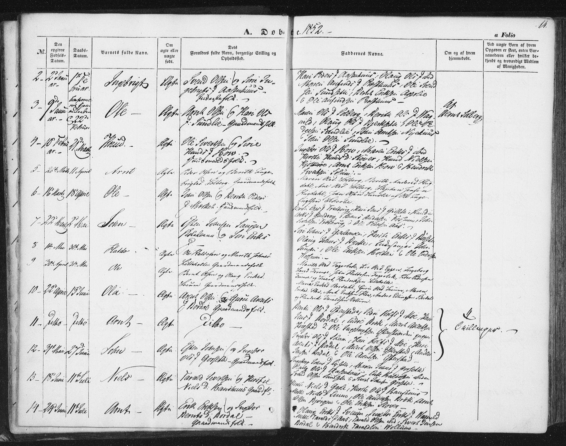 Ministerialprotokoller, klokkerbøker og fødselsregistre - Sør-Trøndelag, SAT/A-1456/689/L1038: Ministerialbok nr. 689A03, 1848-1872, s. 14