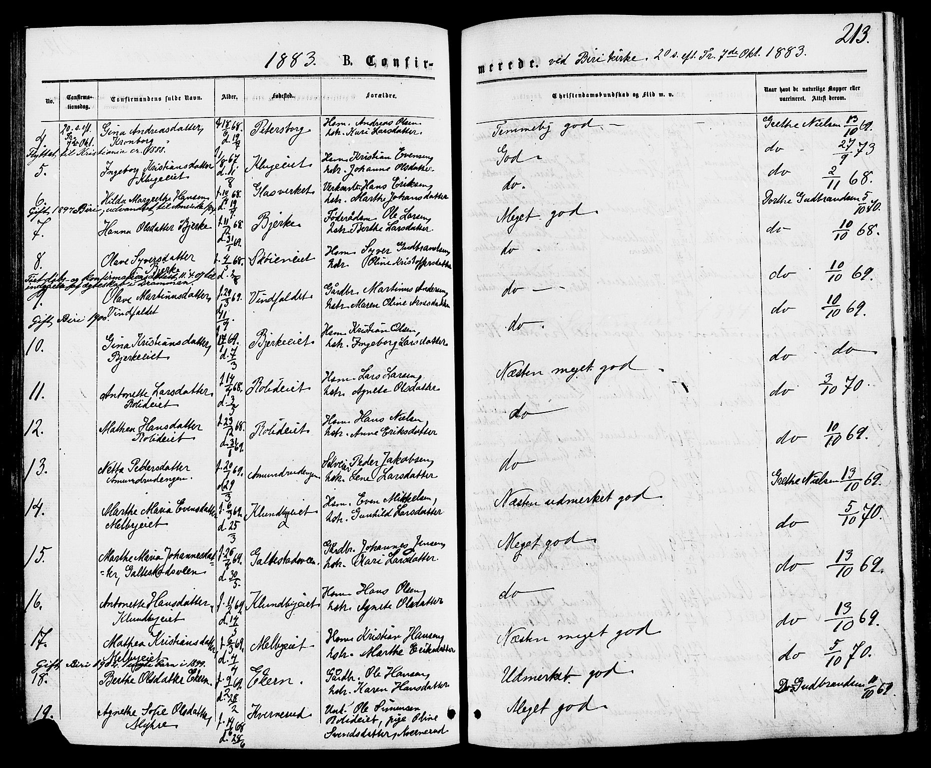 Biri prestekontor, AV/SAH-PREST-096/H/Ha/Haa/L0006: Ministerialbok nr. 6, 1877-1886, s. 213