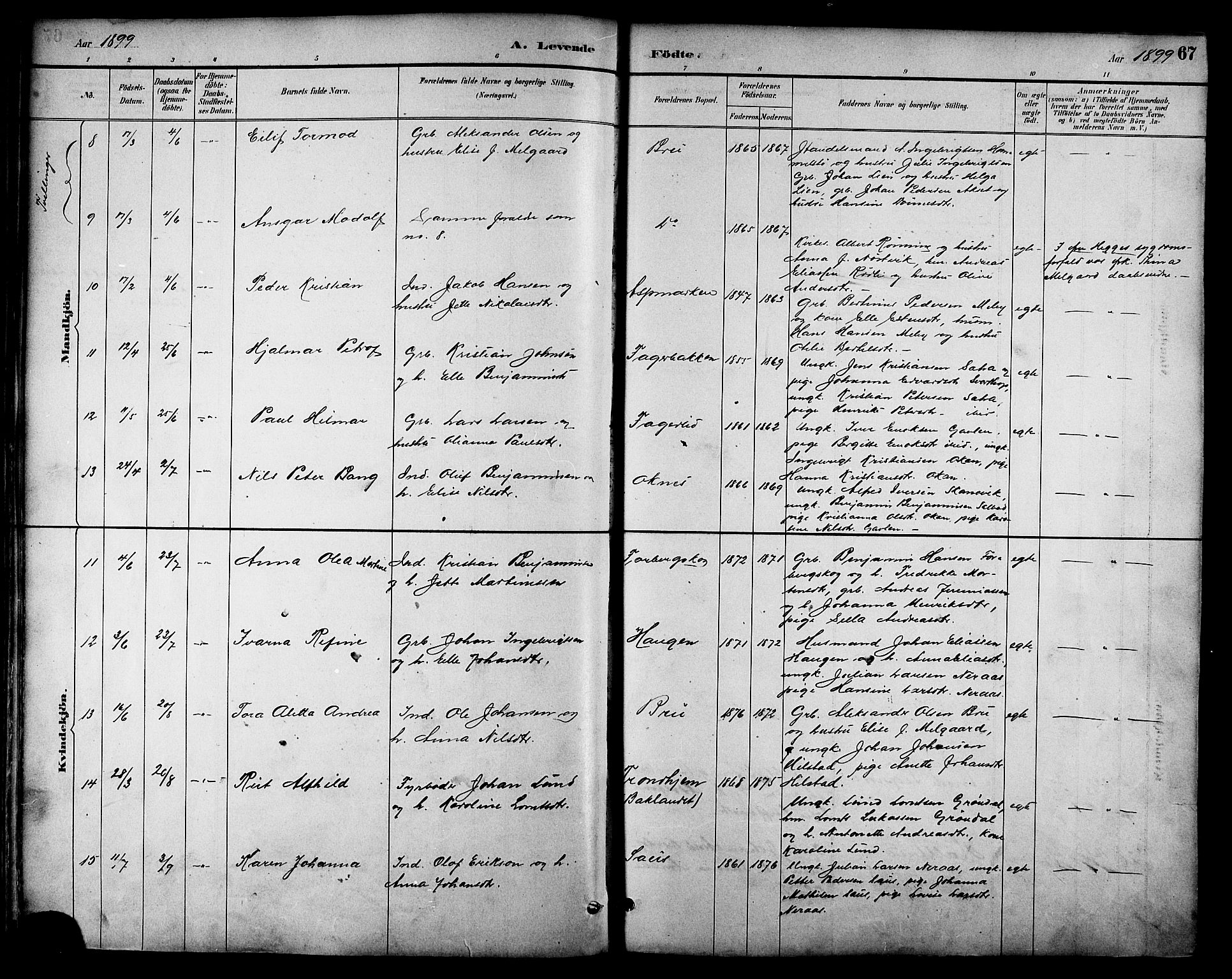 Ministerialprotokoller, klokkerbøker og fødselsregistre - Nordland, AV/SAT-A-1459/814/L0230: Klokkerbok nr. 814C03, 1884-1911, s. 67