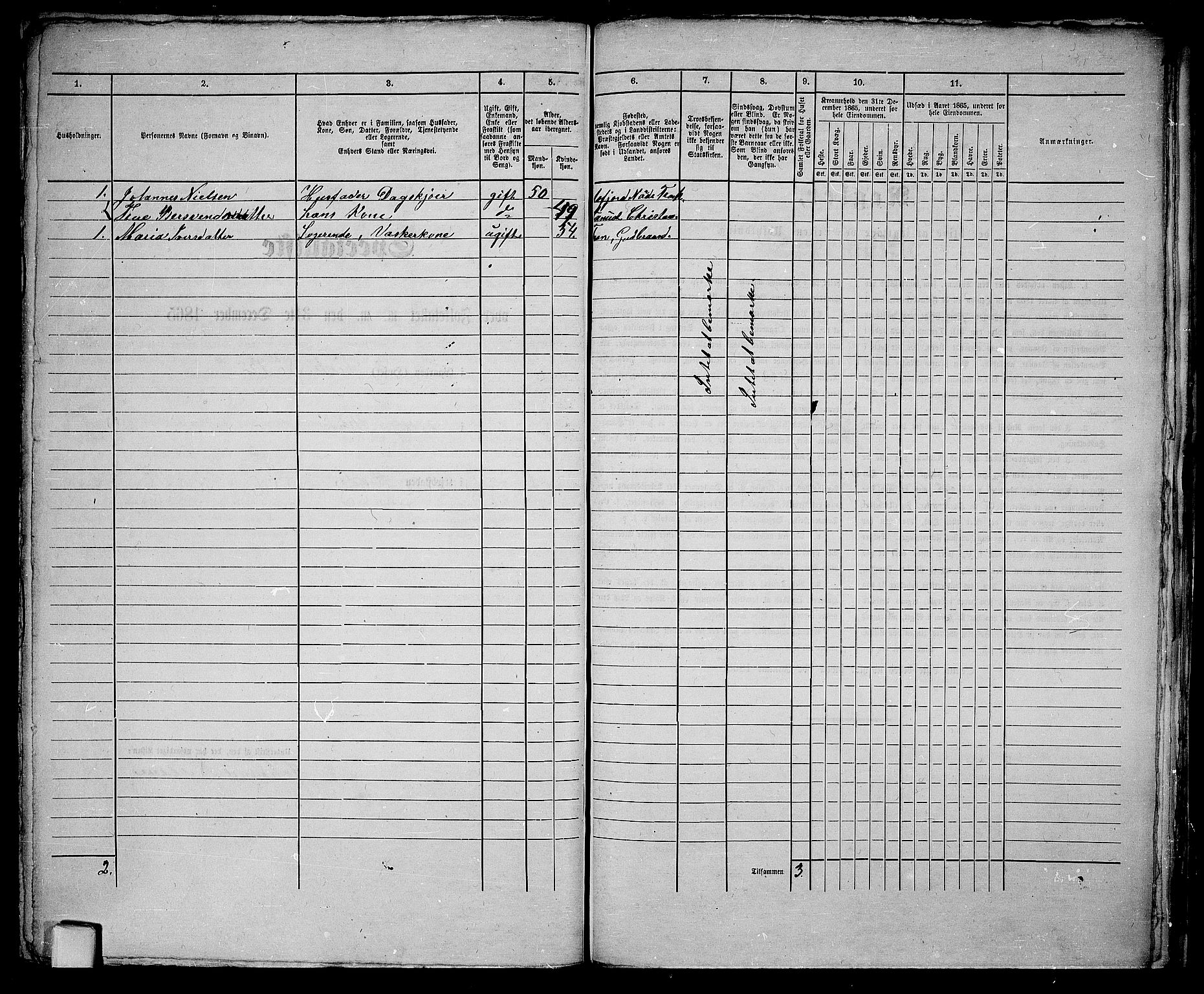 RA, Folketelling 1865 for 1804B Bodø prestegjeld, Bodø kjøpstad, 1865, s. 112