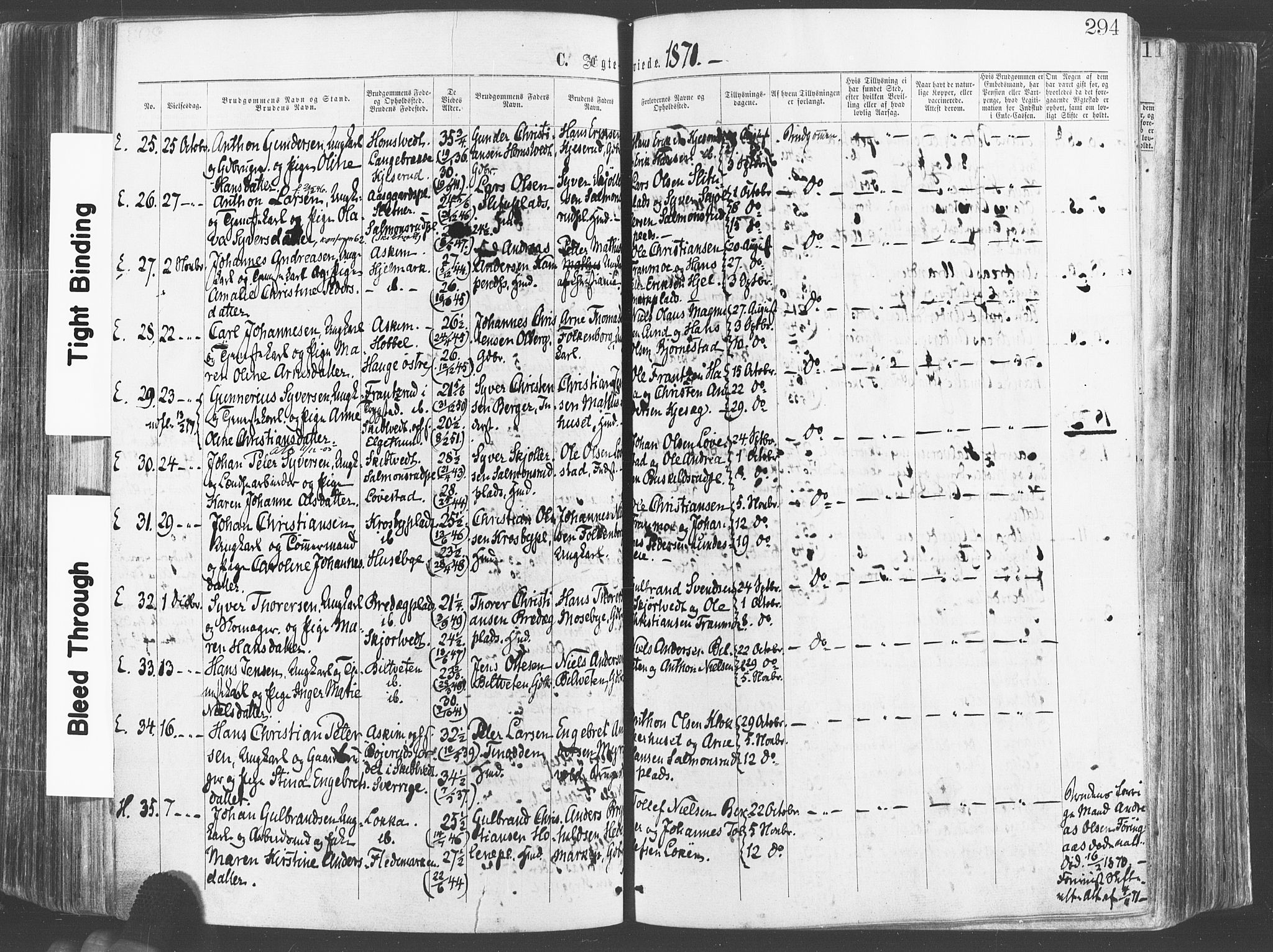 Eidsberg prestekontor Kirkebøker, AV/SAO-A-10905/F/Fa/L0011: Ministerialbok nr. I 11, 1867-1878, s. 294