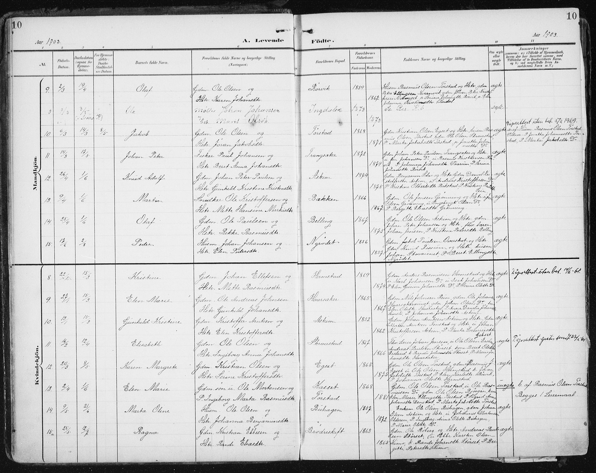 Ministerialprotokoller, klokkerbøker og fødselsregistre - Sør-Trøndelag, AV/SAT-A-1456/646/L0616: Ministerialbok nr. 646A14, 1900-1918, s. 10