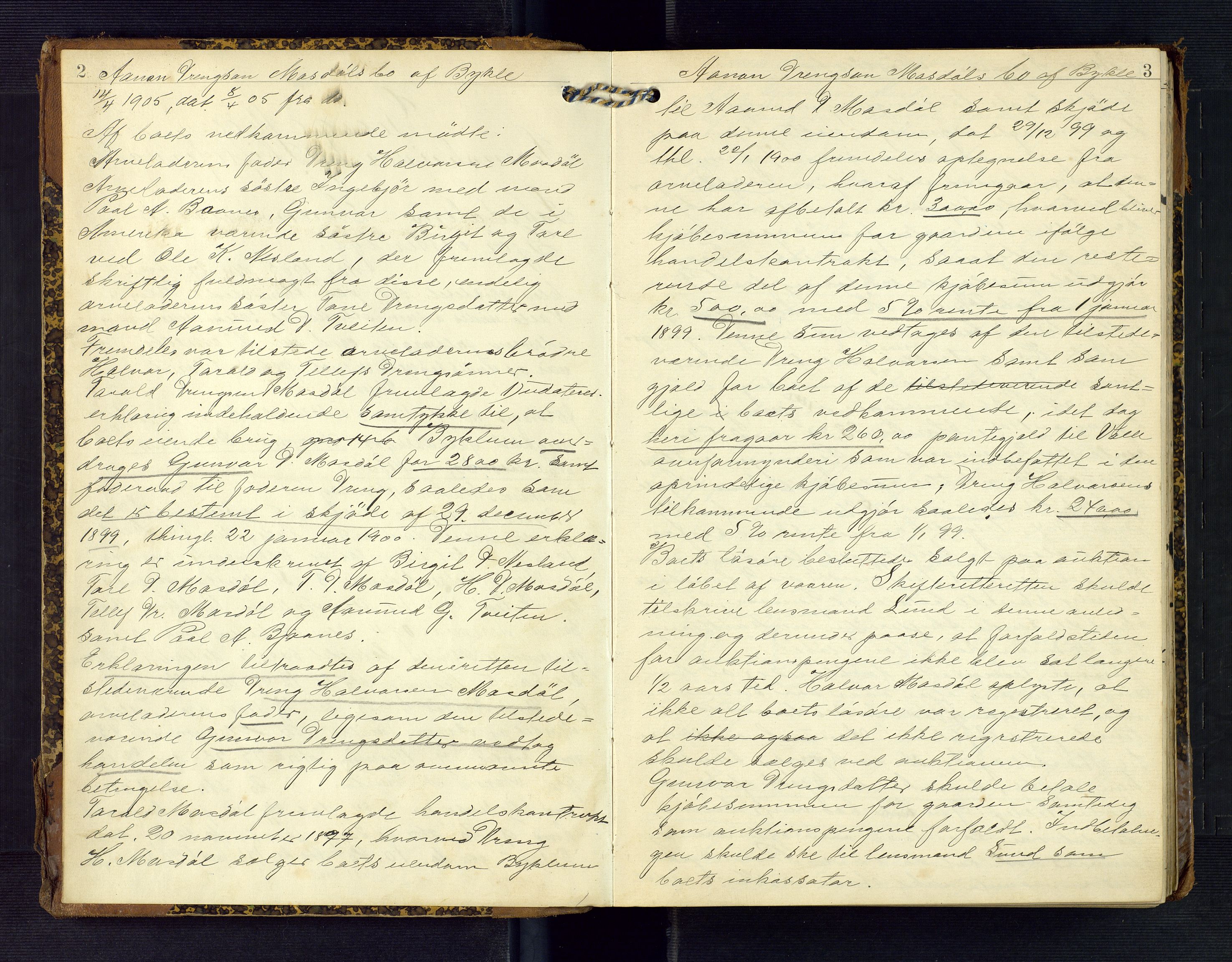 Setesdal sorenskriveri, SAK/1221-0011/H/Hc/L0038: Skifteforhandlingsprotokoll nr 10, 1905-1909, s. 2-3
