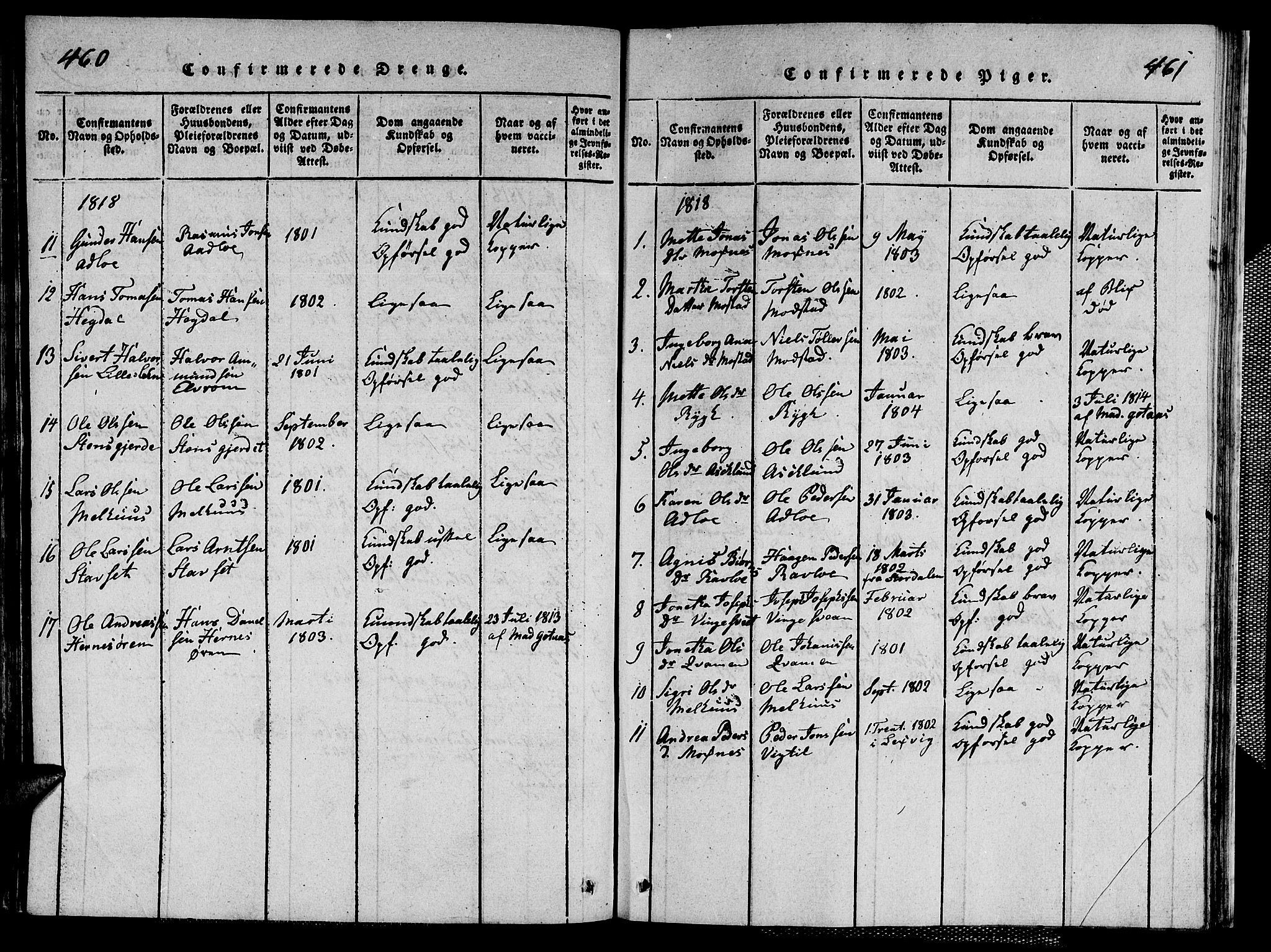 Ministerialprotokoller, klokkerbøker og fødselsregistre - Nord-Trøndelag, SAT/A-1458/713/L0124: Klokkerbok nr. 713C01, 1817-1827, s. 460-461