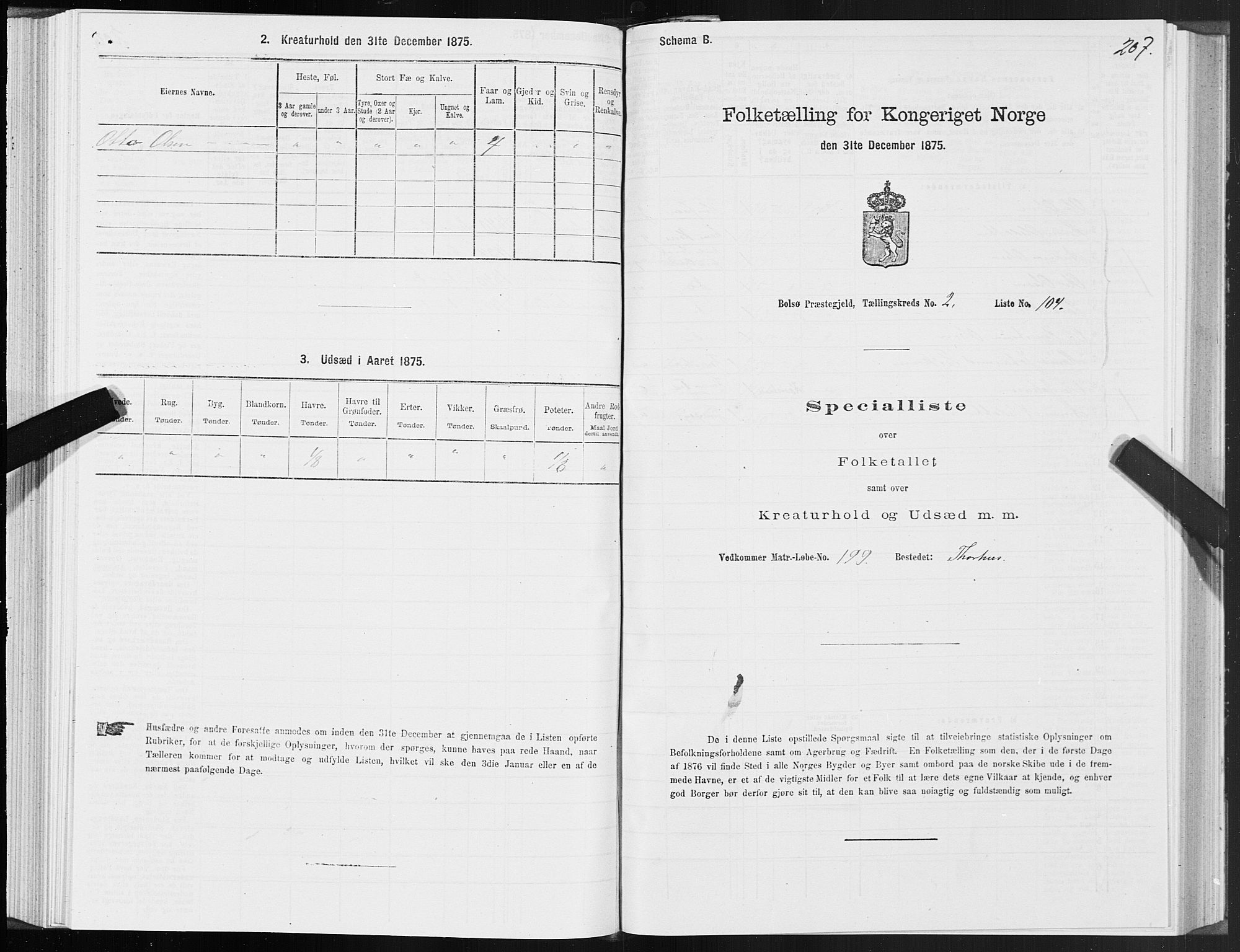SAT, Folketelling 1875 for 1544P Bolsøy prestegjeld, 1875, s. 2207