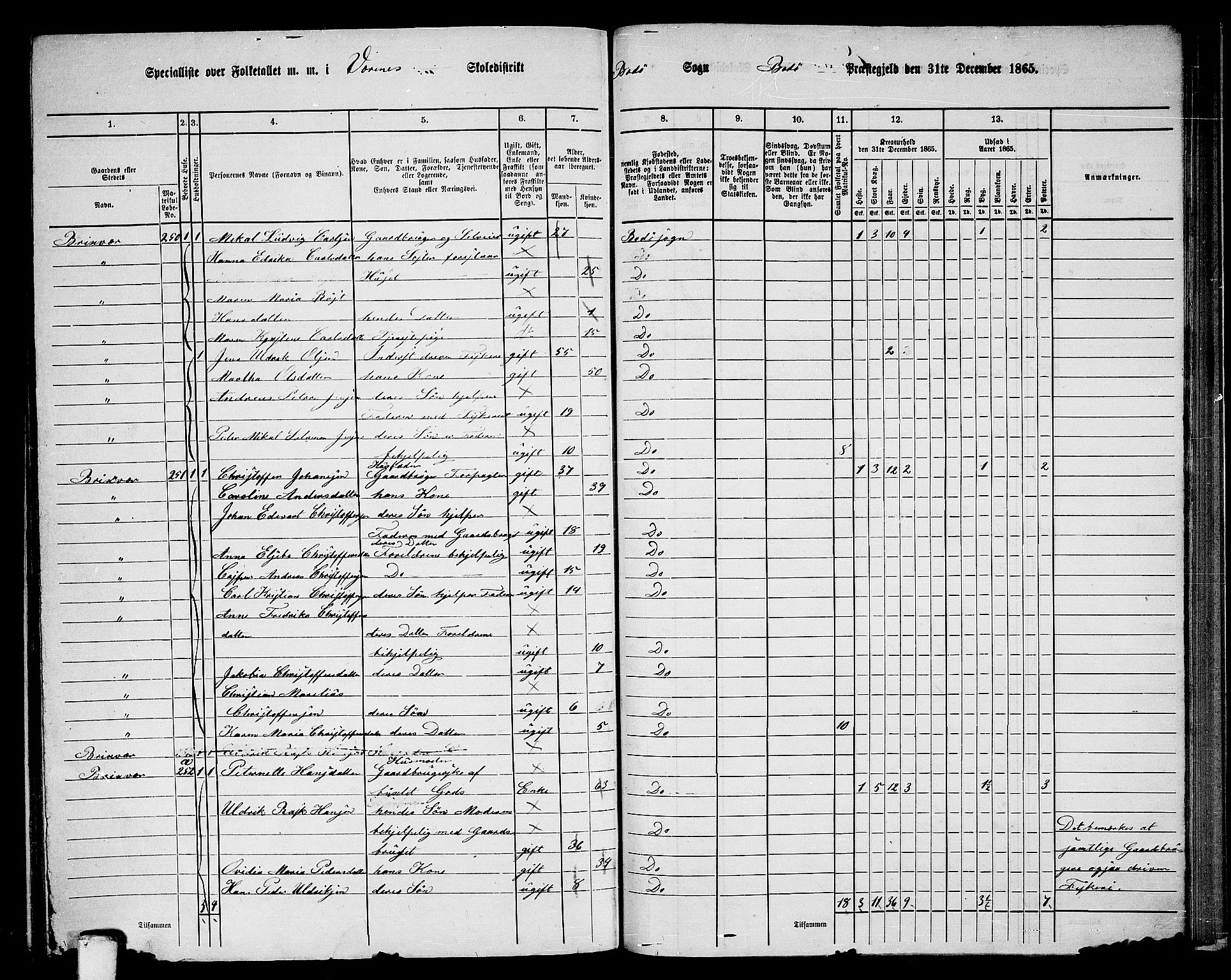 RA, Folketelling 1865 for 1843L Bodø prestegjeld, Bodø landsokn, 1865, s. 136