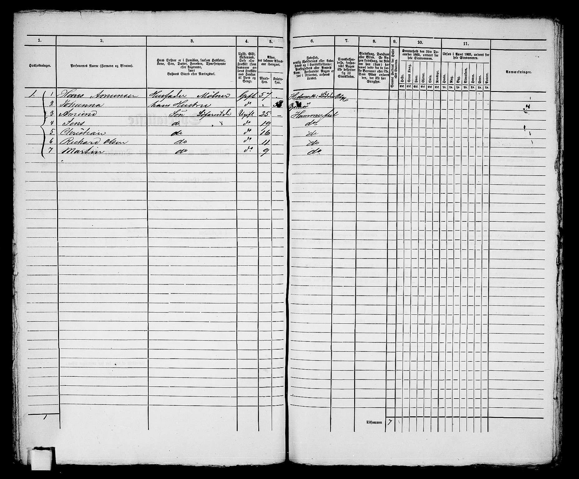 RA, Folketelling 1865 for 2001B Hammerfest prestegjeld, Hammerfest kjøpstad, 1865, s. 315