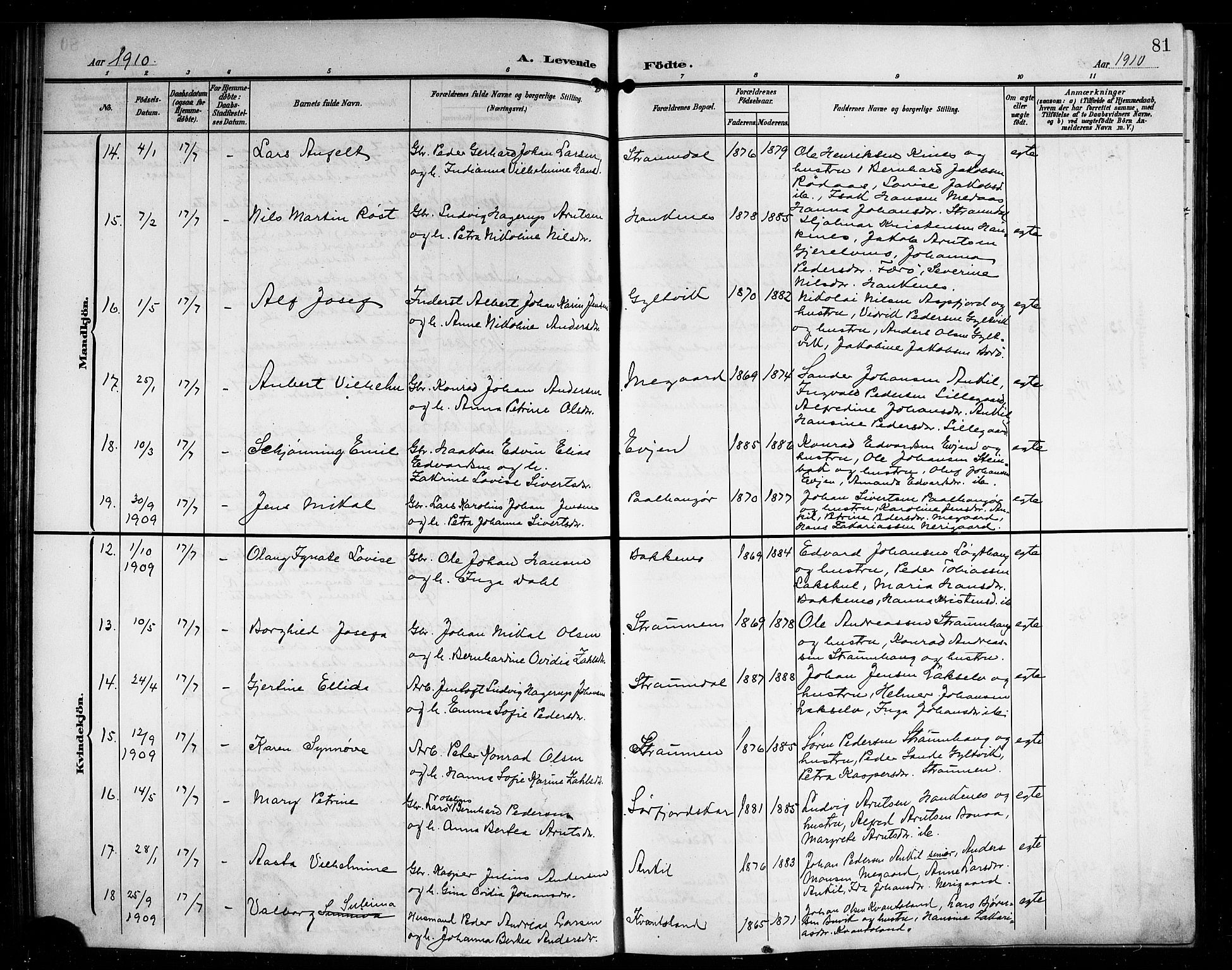 Ministerialprotokoller, klokkerbøker og fødselsregistre - Nordland, AV/SAT-A-1459/854/L0786: Klokkerbok nr. 854C02, 1901-1912, s. 81