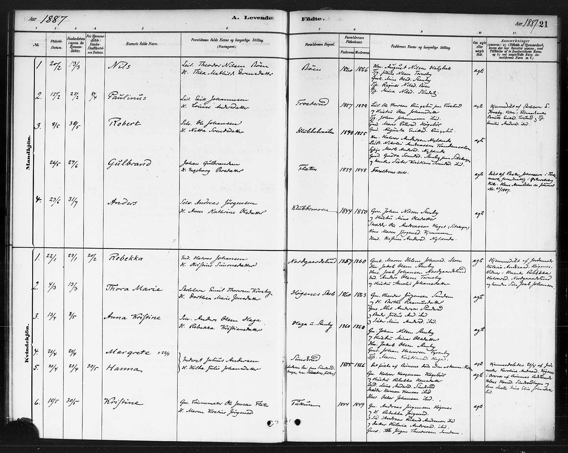 Rødenes prestekontor Kirkebøker, AV/SAO-A-2005/F/Fb/L0001: Ministerialbok nr. II 1, 1880-1889, s. 21