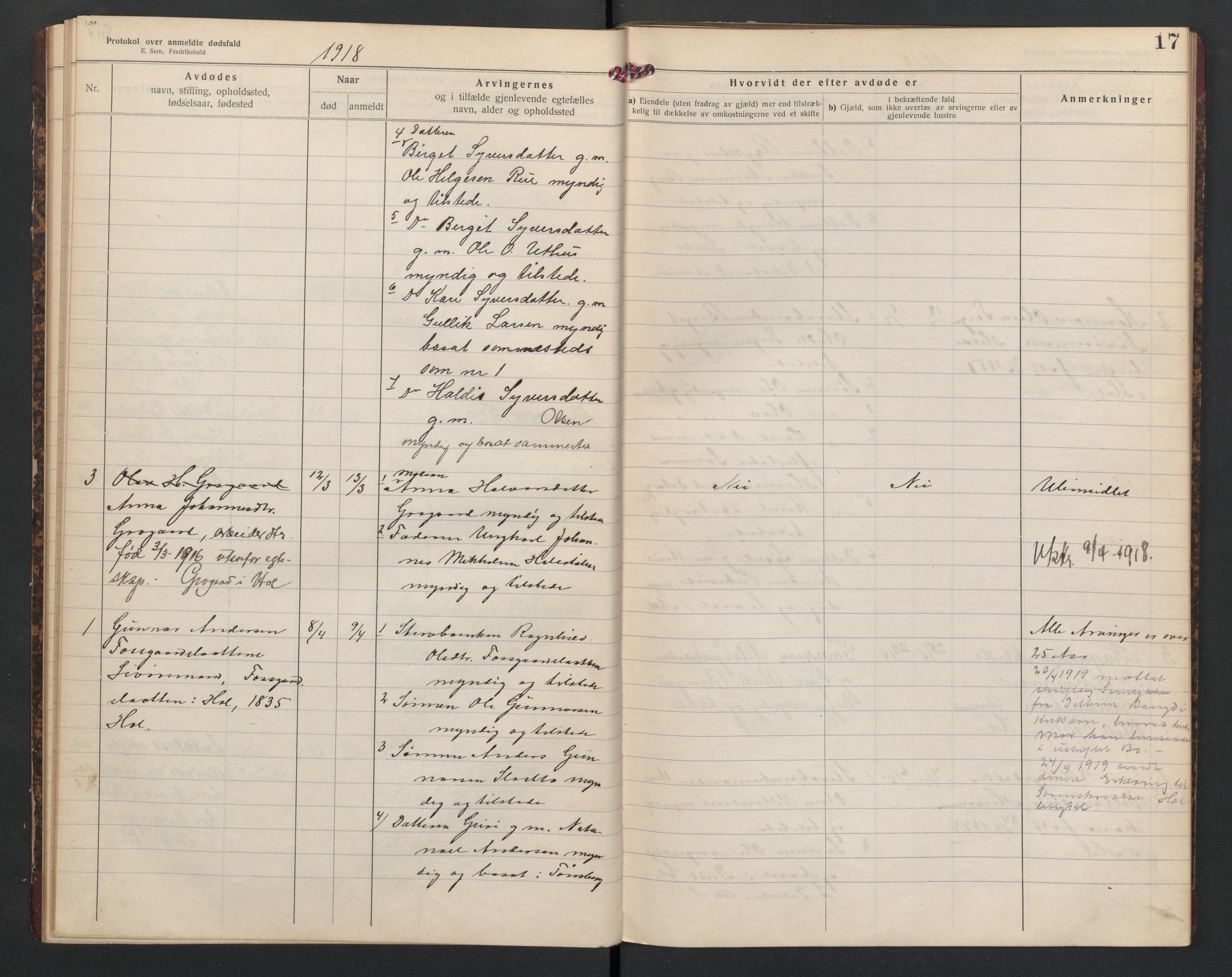 Hol lensmannskontor, AV/SAKO-A-512/H/Ha/L0005: Dødsanmeldelsesprotokoll, 1917-1924, s. 17