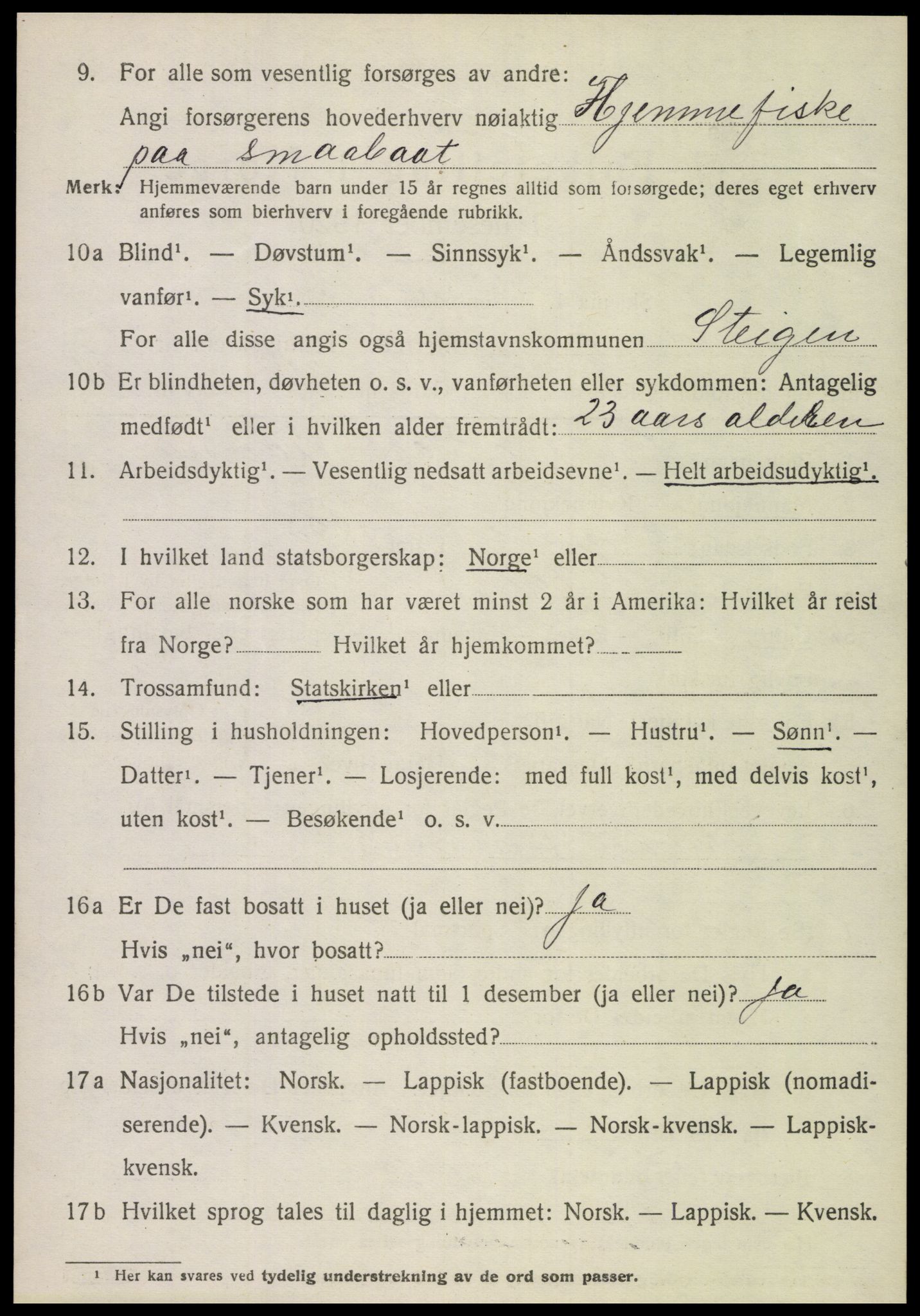 SAT, Folketelling 1920 for 1848 Steigen herred, 1920, s. 4411