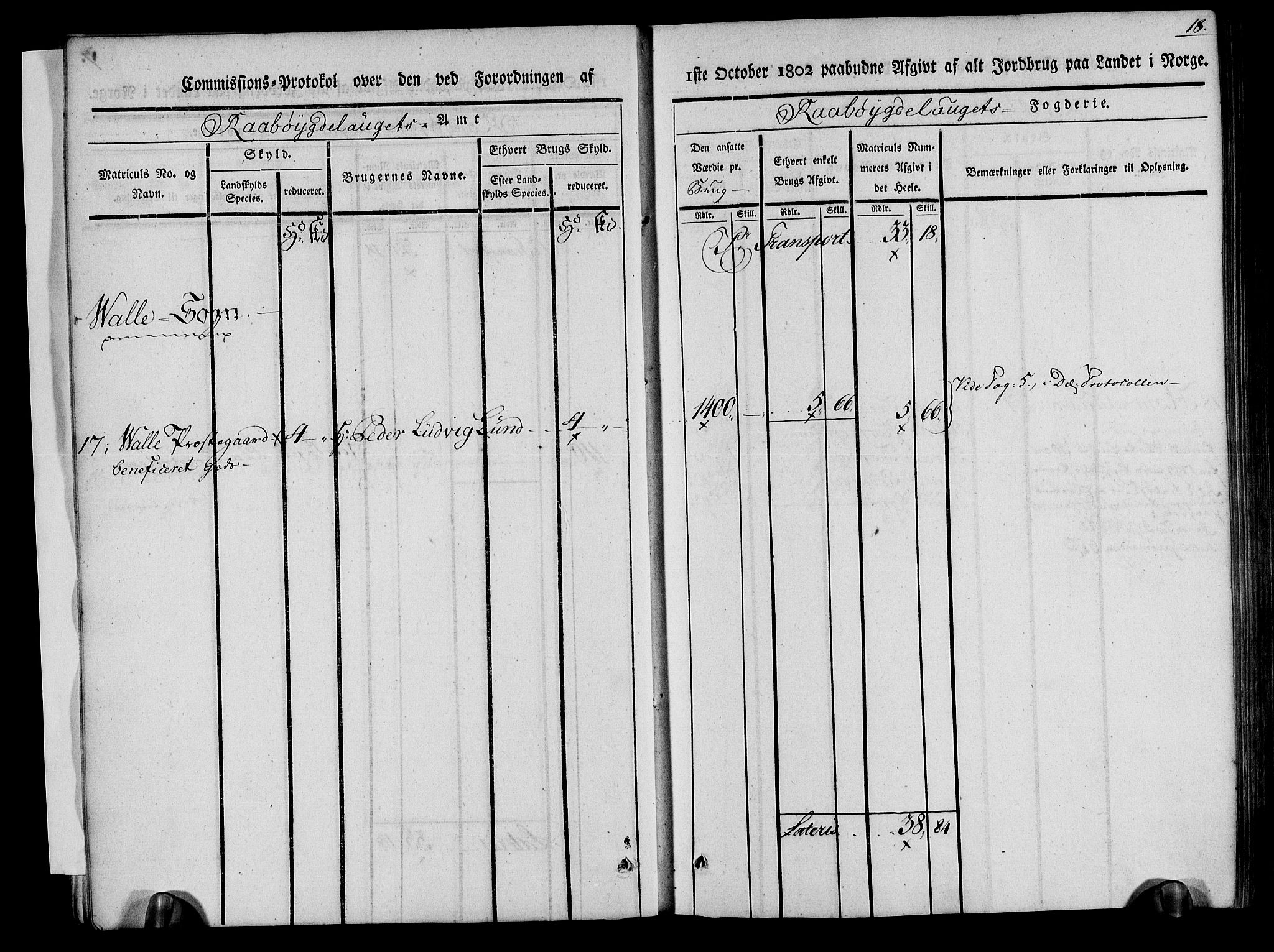 Rentekammeret inntil 1814, Realistisk ordnet avdeling, RA/EA-4070/N/Ne/Nea/L0084: Råbyggelag fogderi. Kommisjonsprotokoll for Vestre Råbyggelagets sorenskriveri, 1803, s. 19