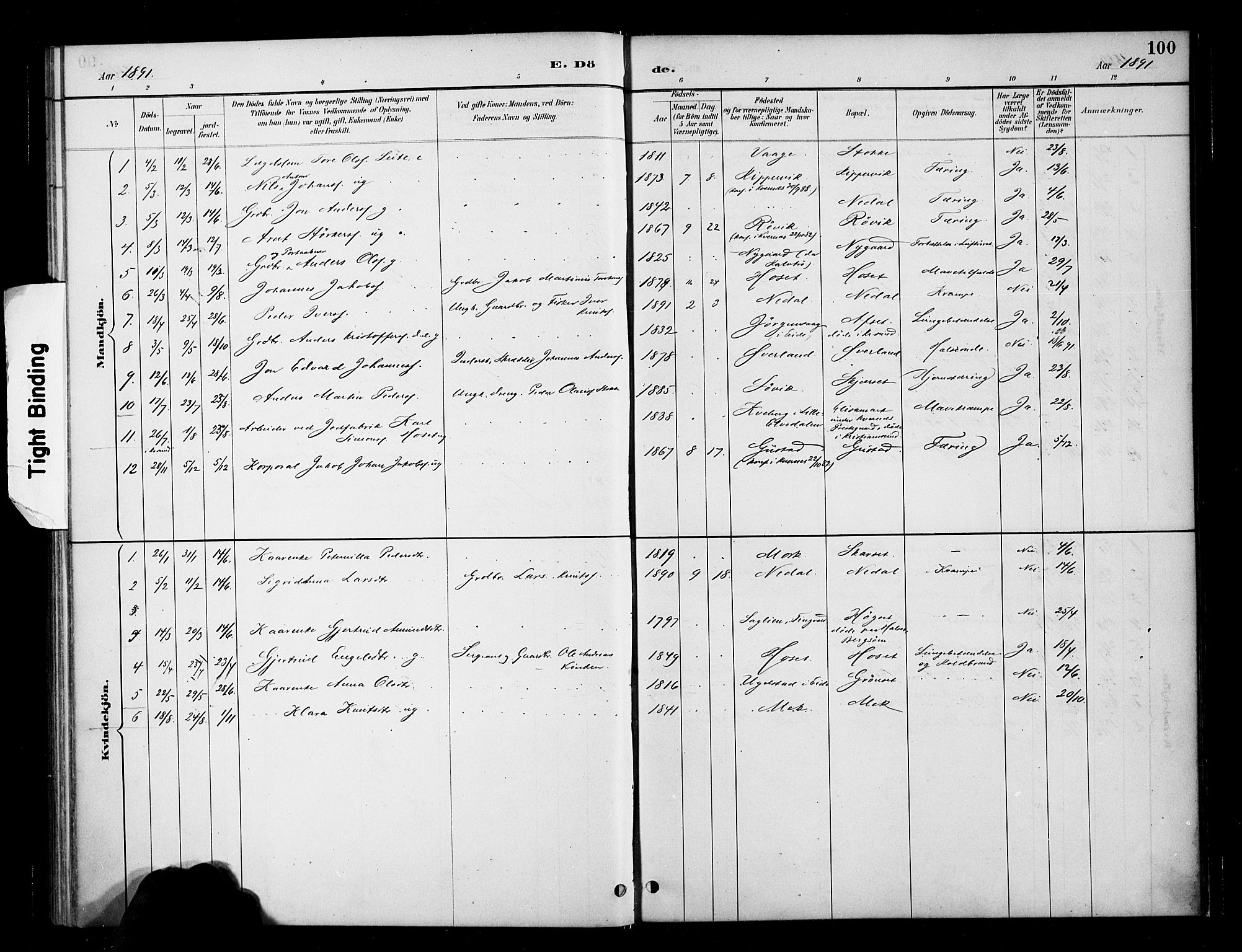 Ministerialprotokoller, klokkerbøker og fødselsregistre - Møre og Romsdal, SAT/A-1454/568/L0809: Ministerialbok nr. 568A13, 1884-1900, s. 100