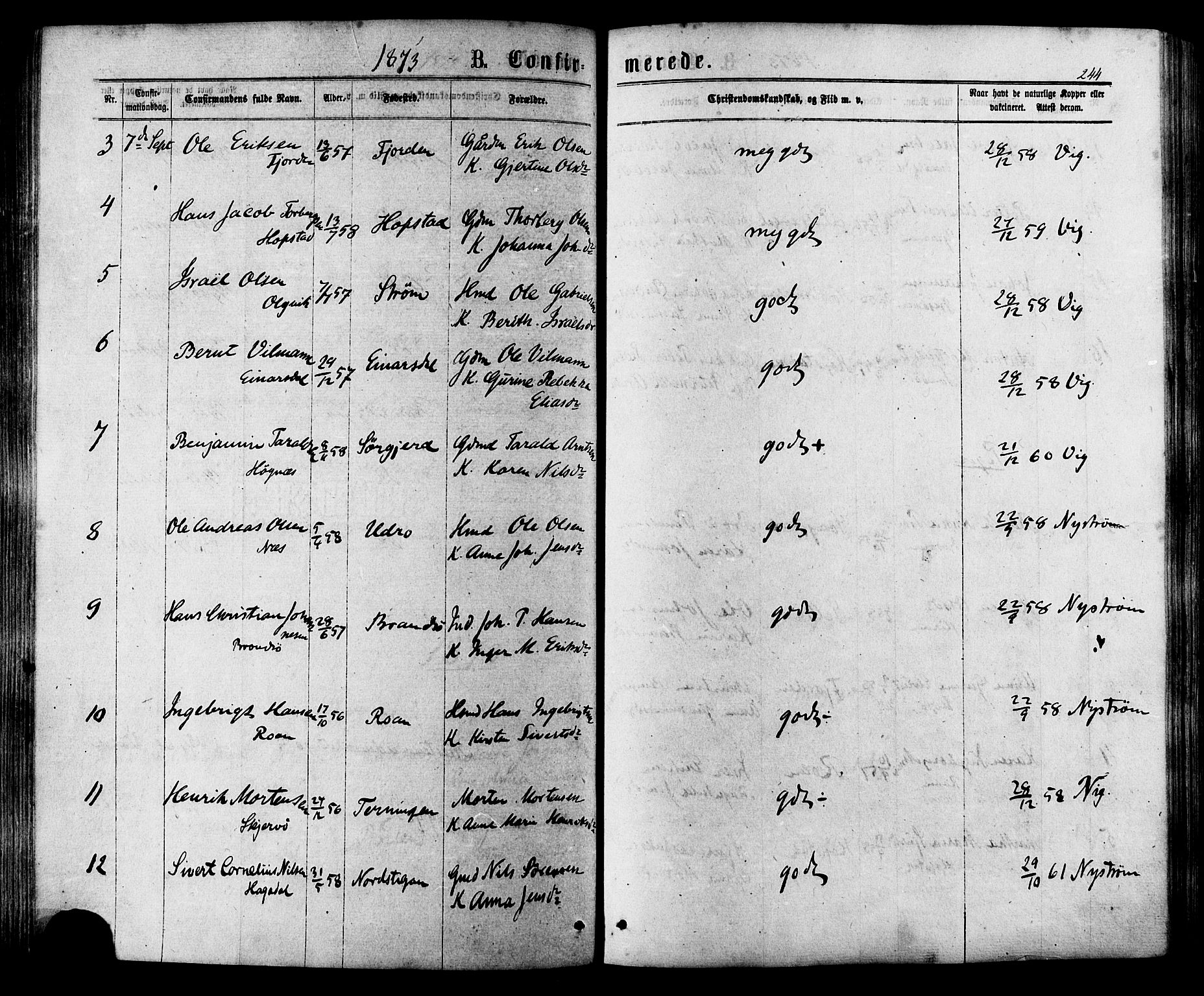 Ministerialprotokoller, klokkerbøker og fødselsregistre - Sør-Trøndelag, AV/SAT-A-1456/657/L0706: Ministerialbok nr. 657A07, 1867-1878, s. 244