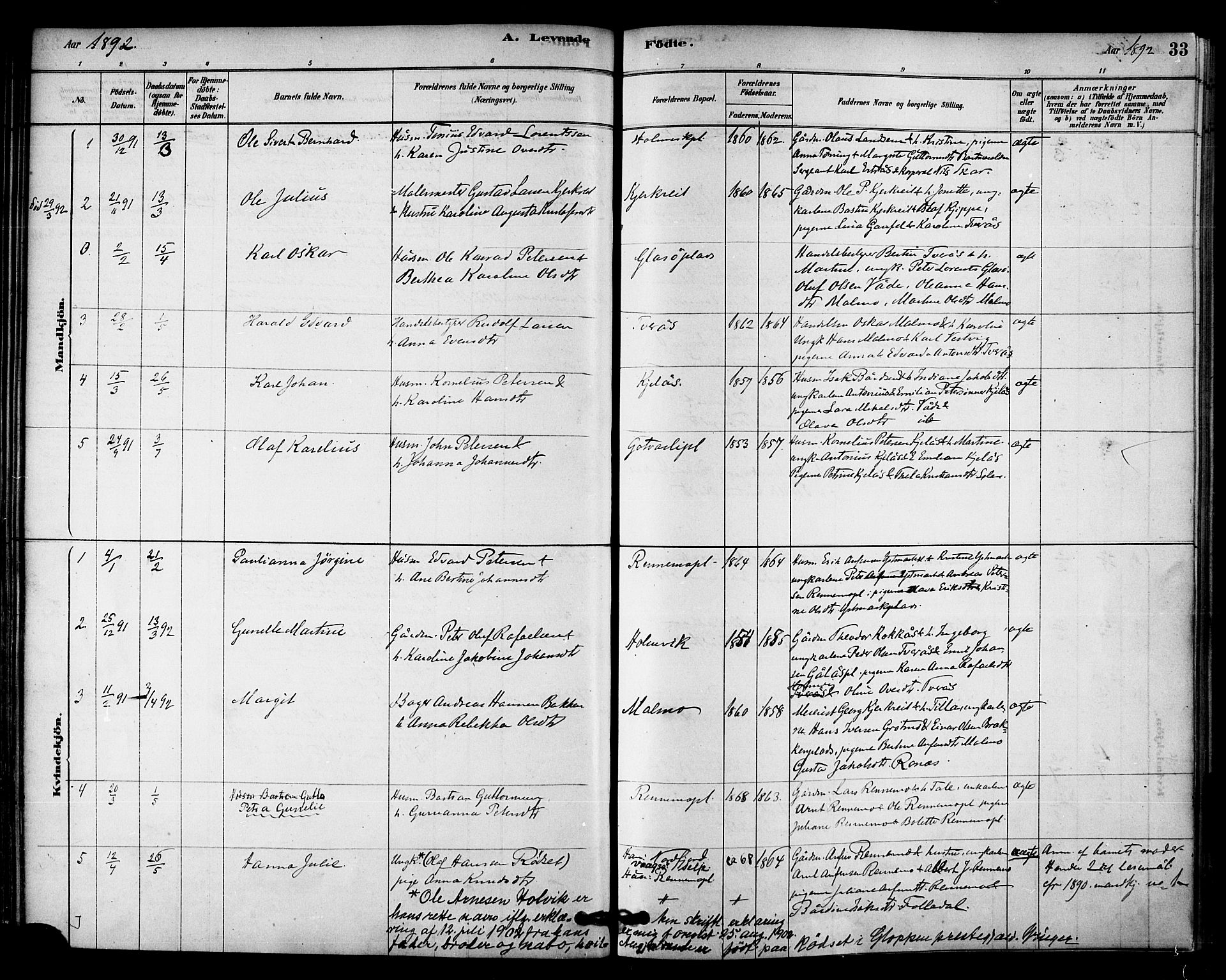 Ministerialprotokoller, klokkerbøker og fødselsregistre - Nord-Trøndelag, SAT/A-1458/745/L0429: Ministerialbok nr. 745A01, 1878-1894, s. 33