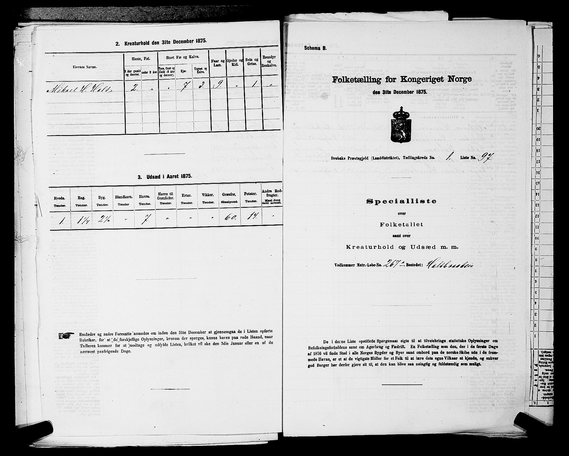 RA, Folketelling 1875 for 0215L Drøbak prestegjeld, Frogn sokn, 1875, s. 251