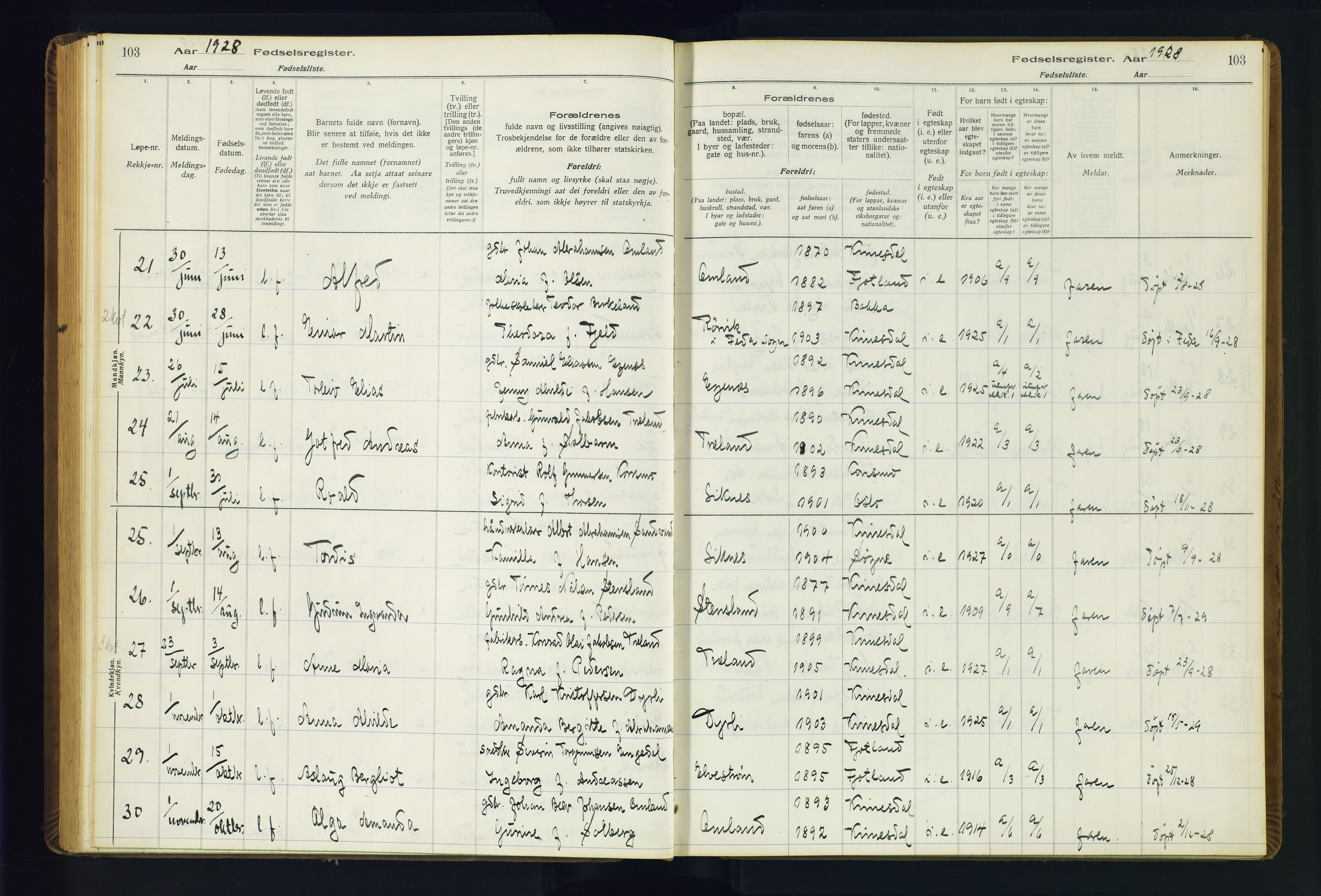 Kvinesdal sokneprestkontor, AV/SAK-1111-0026/J/Ja/L0001: Fødselsregister nr. 1, 1916-1941, s. 103