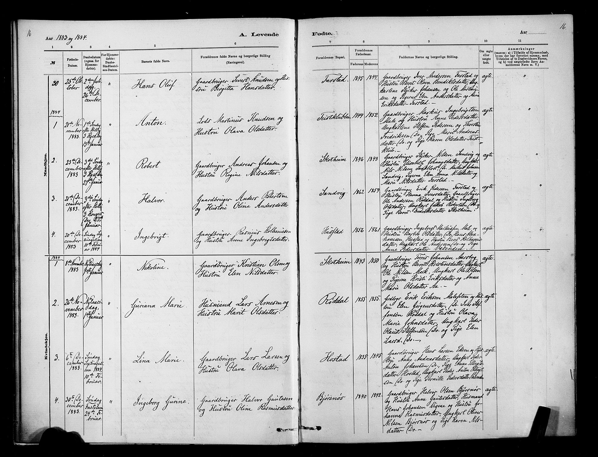 Ministerialprotokoller, klokkerbøker og fødselsregistre - Møre og Romsdal, AV/SAT-A-1454/567/L0778: Ministerialbok nr. 567A01, 1881-1903, s. 16