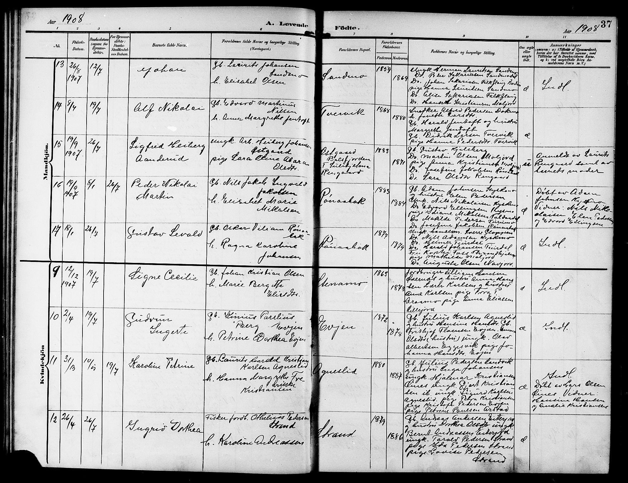 Ministerialprotokoller, klokkerbøker og fødselsregistre - Nordland, AV/SAT-A-1459/846/L0655: Klokkerbok nr. 846C05, 1902-1916, s. 37