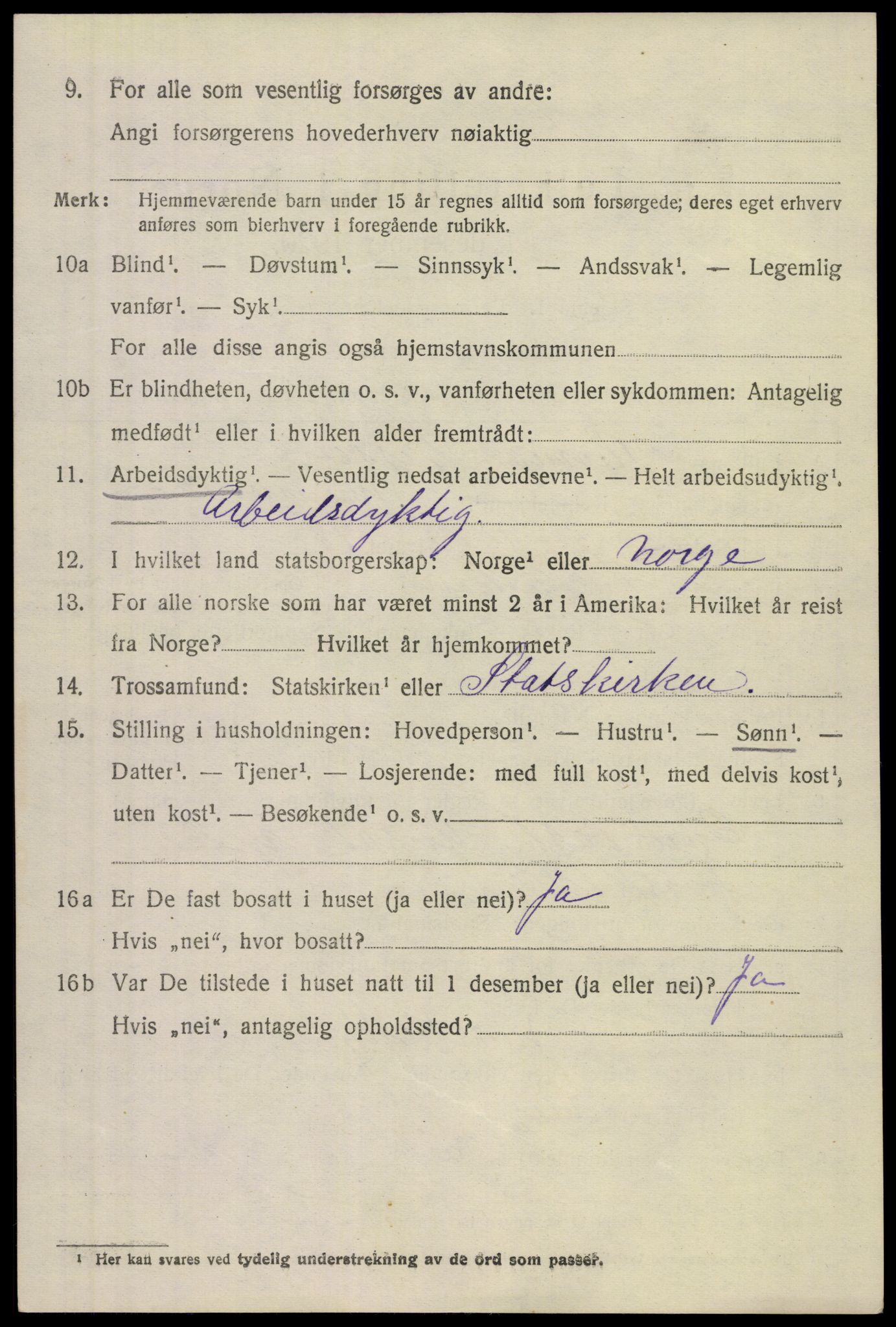 SAKO, Folketelling 1920 for 0826 Tinn herred, 1920, s. 13157