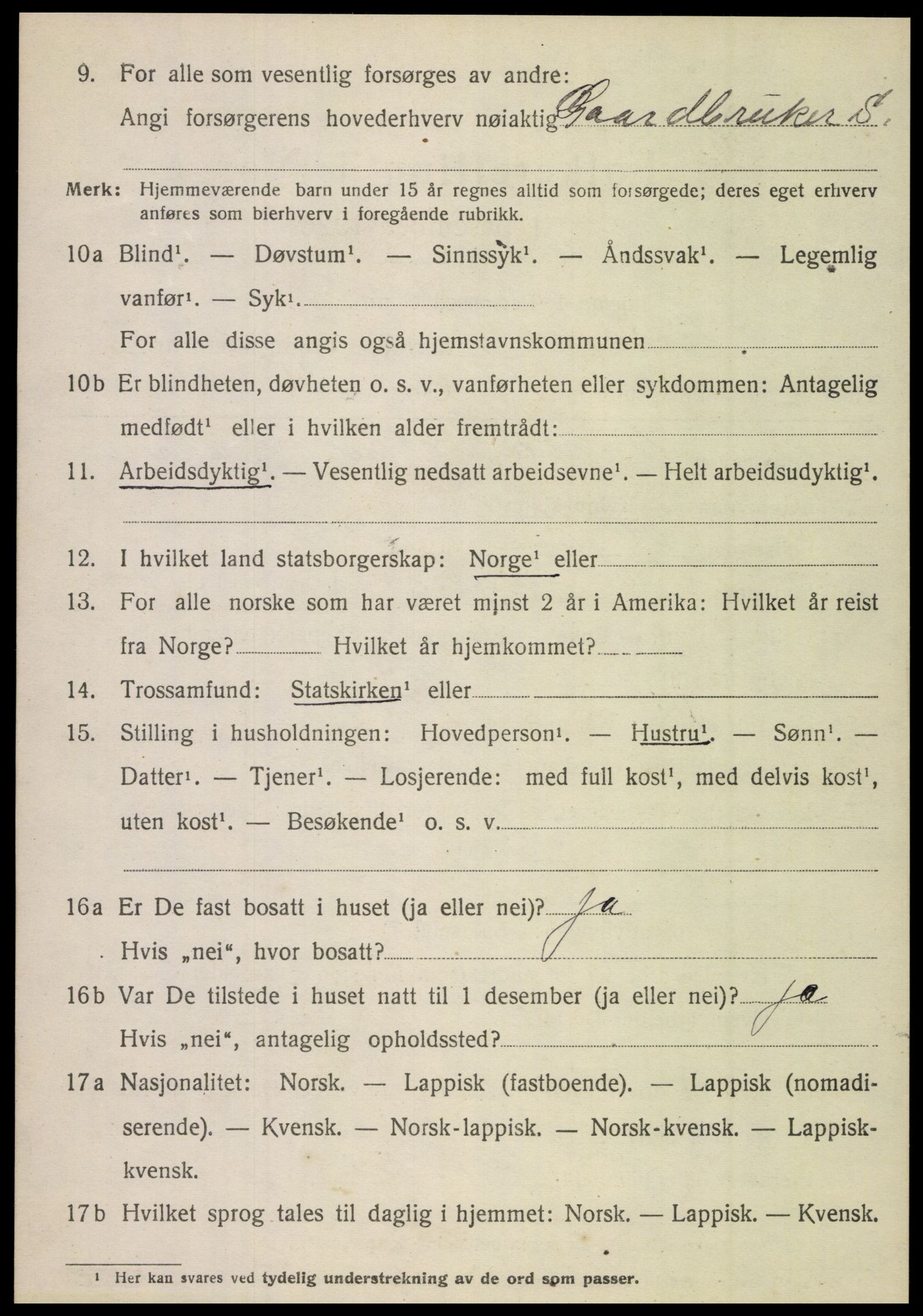 SAT, Folketelling 1920 for 1848 Steigen herred, 1920, s. 4297