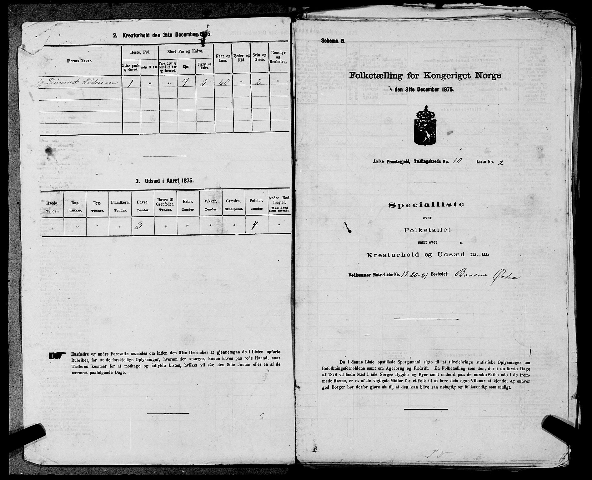 SAST, Folketelling 1875 for 1138P Jelsa prestegjeld, 1875, s. 849