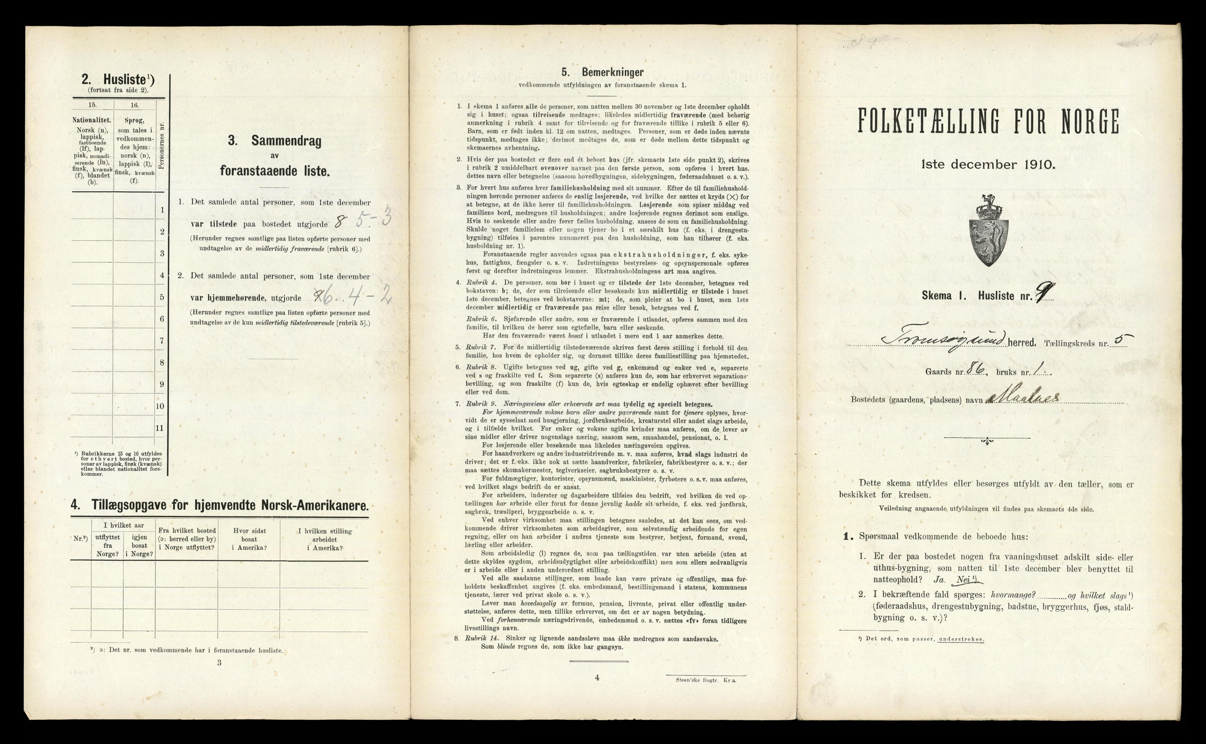 RA, Folketelling 1910 for 1934 Tromsøysund herred, 1910, s. 1039