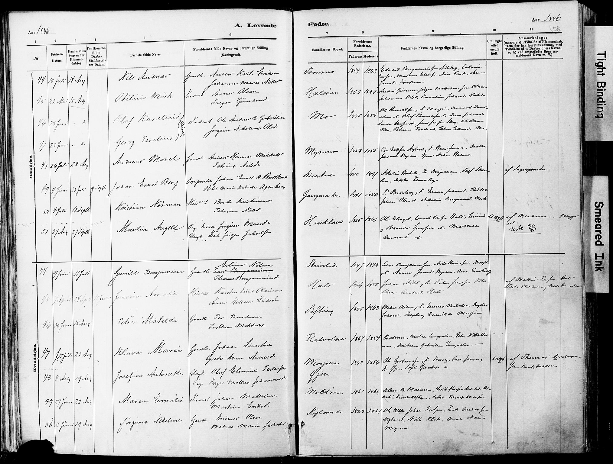 Ministerialprotokoller, klokkerbøker og fødselsregistre - Nordland, SAT/A-1459/820/L0295: Ministerialbok nr. 820A16, 1880-1896, s. 58