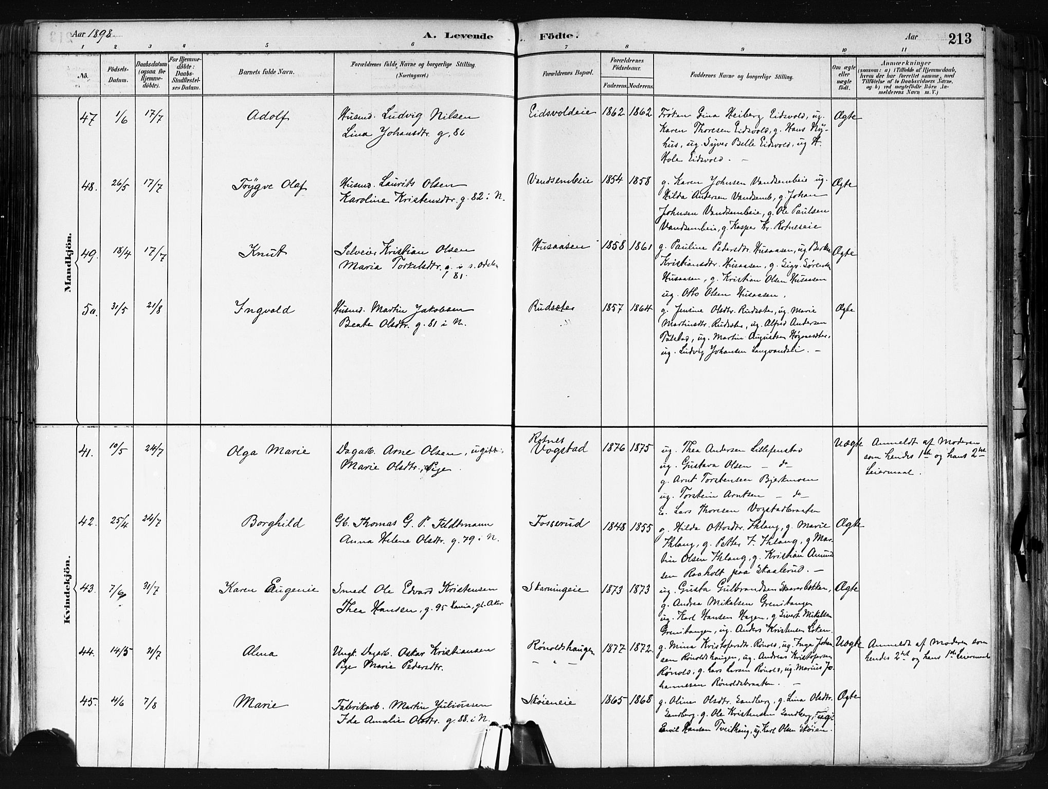 Nes prestekontor Kirkebøker, AV/SAO-A-10410/F/Fa/L0010: Ministerialbok nr. I 10, 1883-1898, s. 213